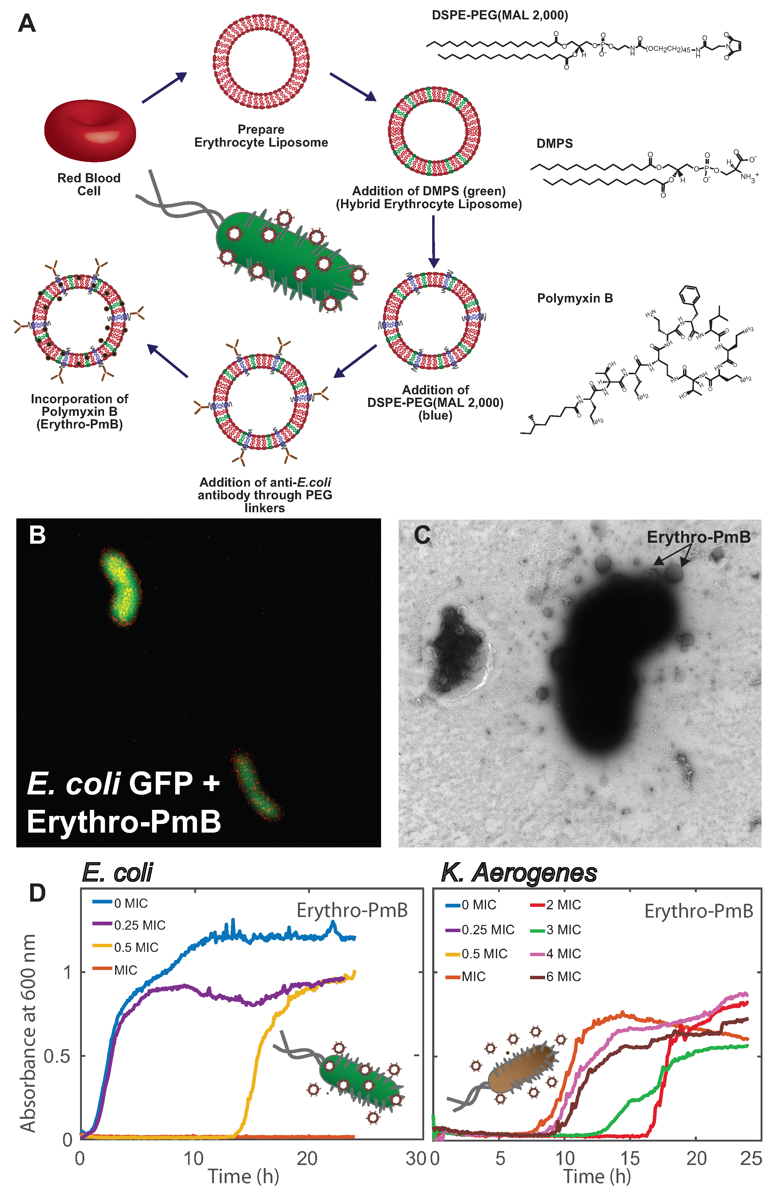 Membranes 12 01226 g004