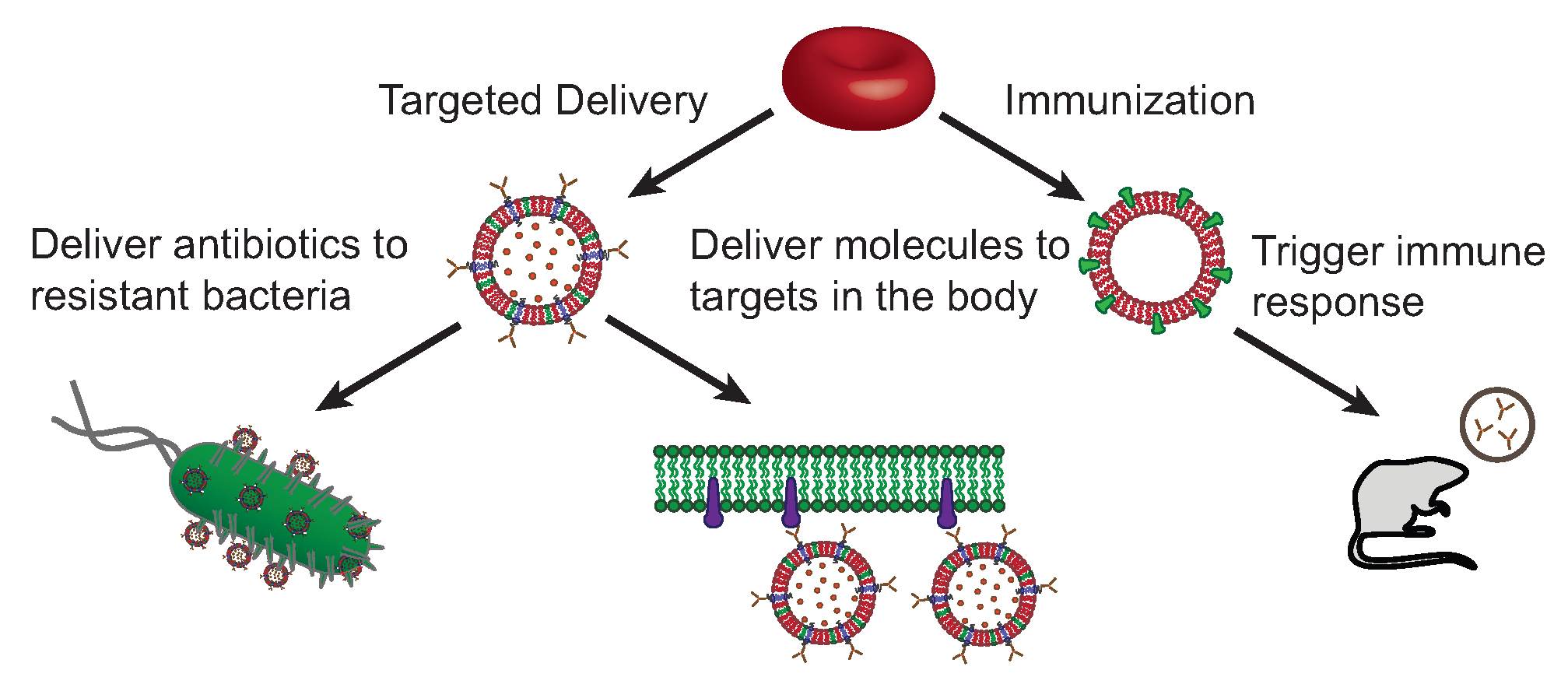 Membranes 12 01226 g005