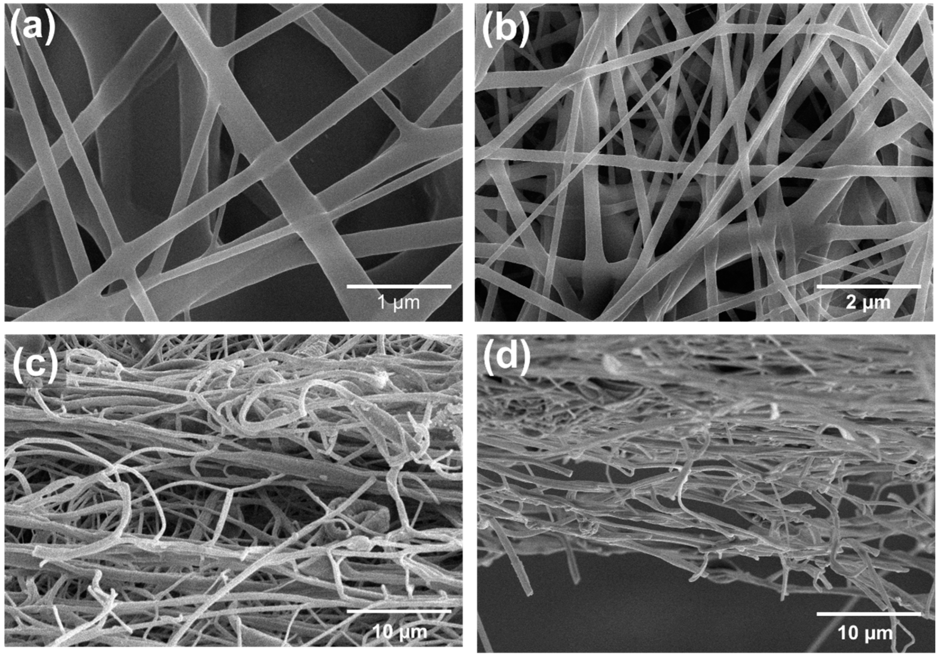 Membranes 12 01230 g002 Membranes 12 01230 g002