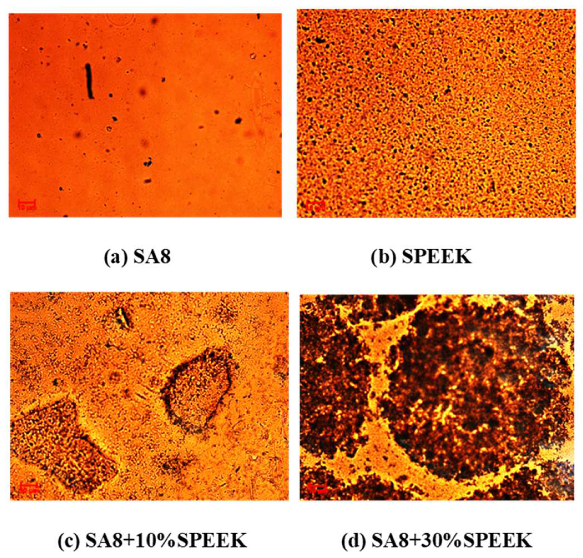 Membranes 12 01238 g022 Membranes 12 01238 g022