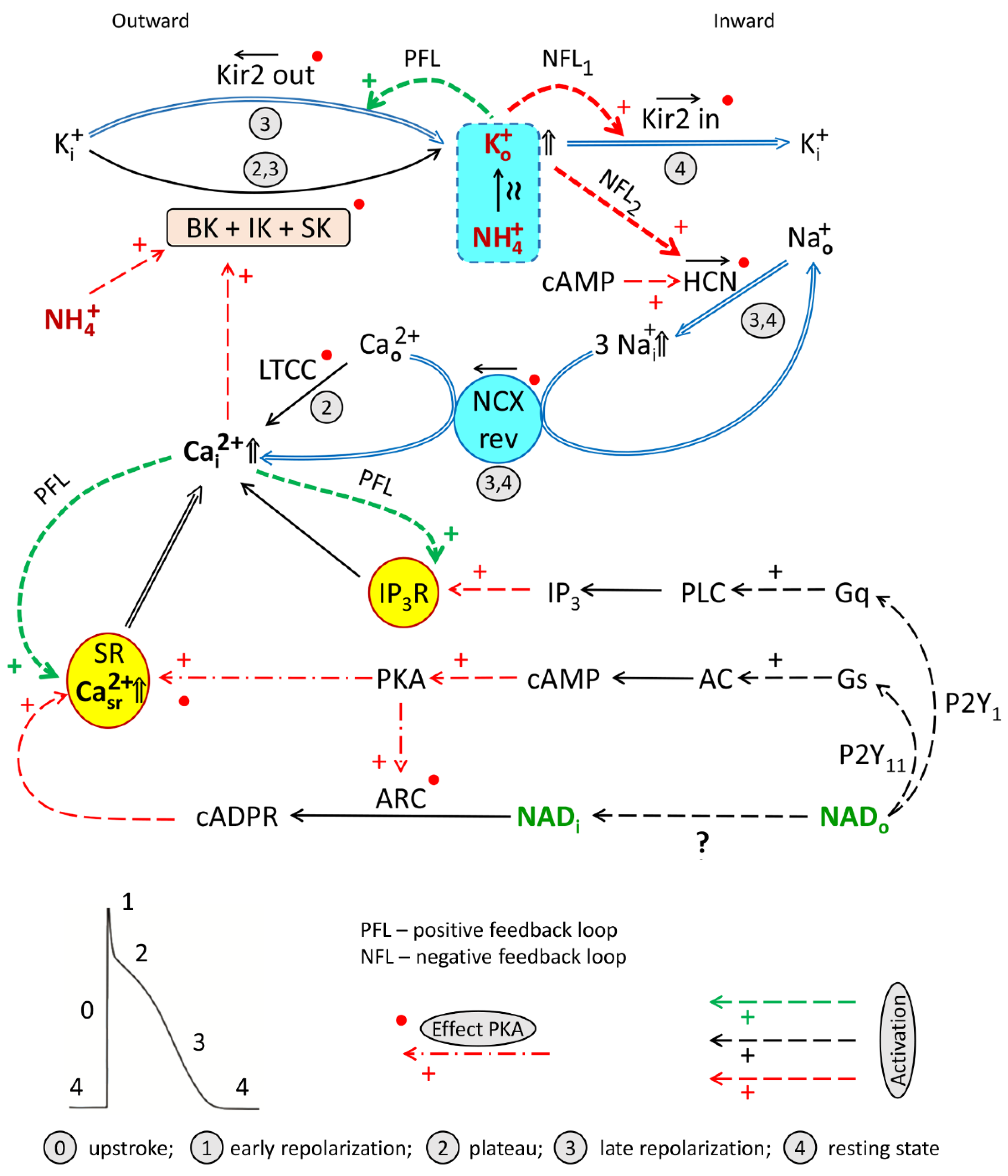 Membranes 12 01239 g012