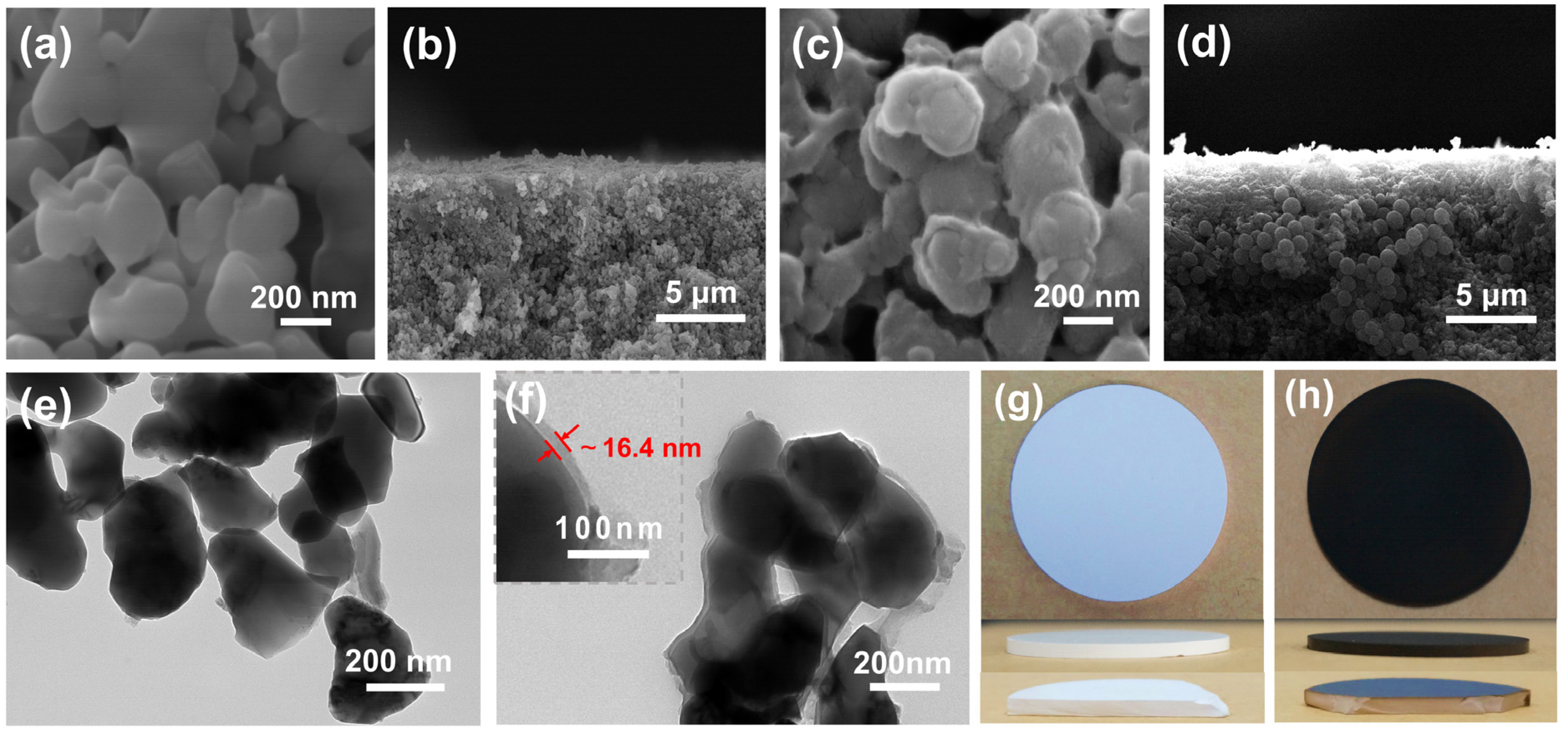 Membranes 12 01246 g003