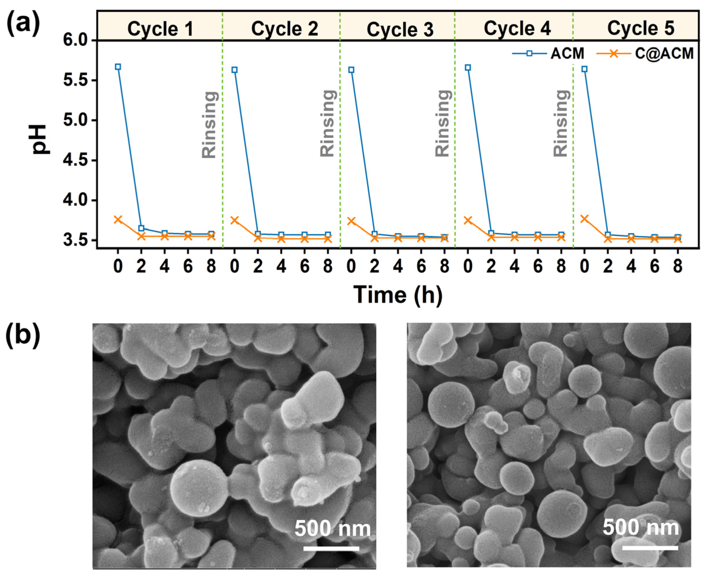 Membranes 12 01246 g011