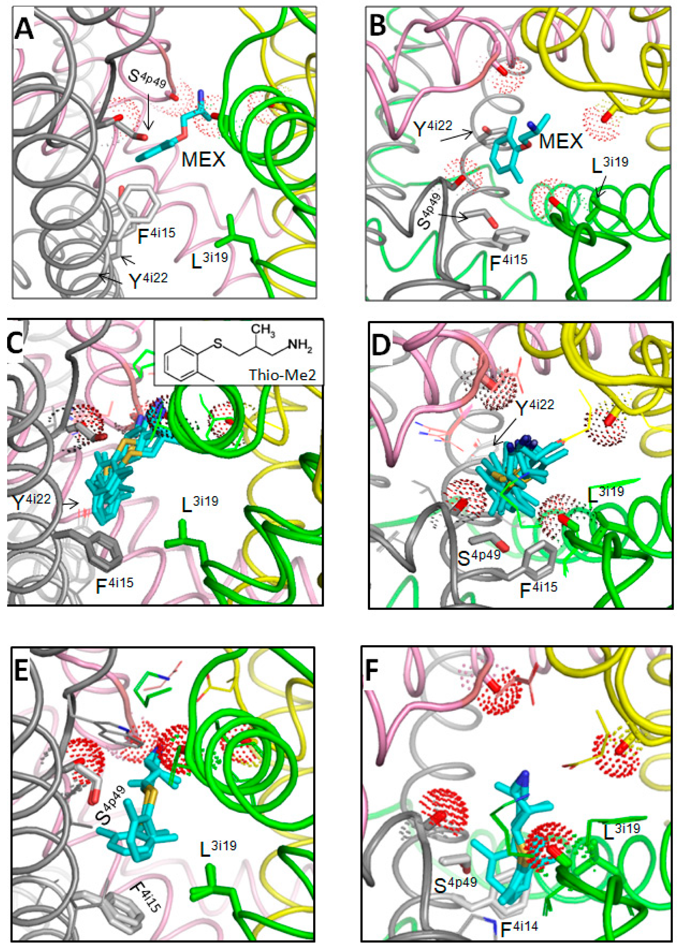 Membranes 12 01252 g002