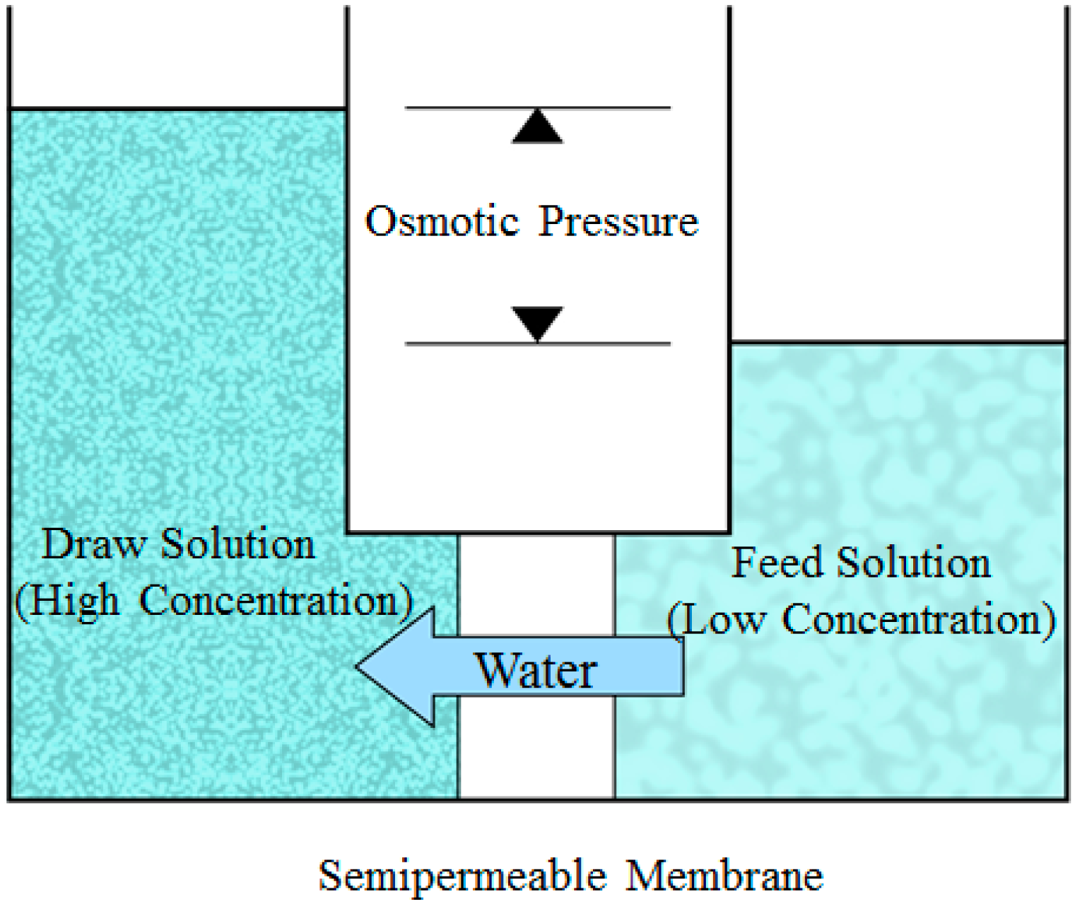 Membranes 12 01254 g001