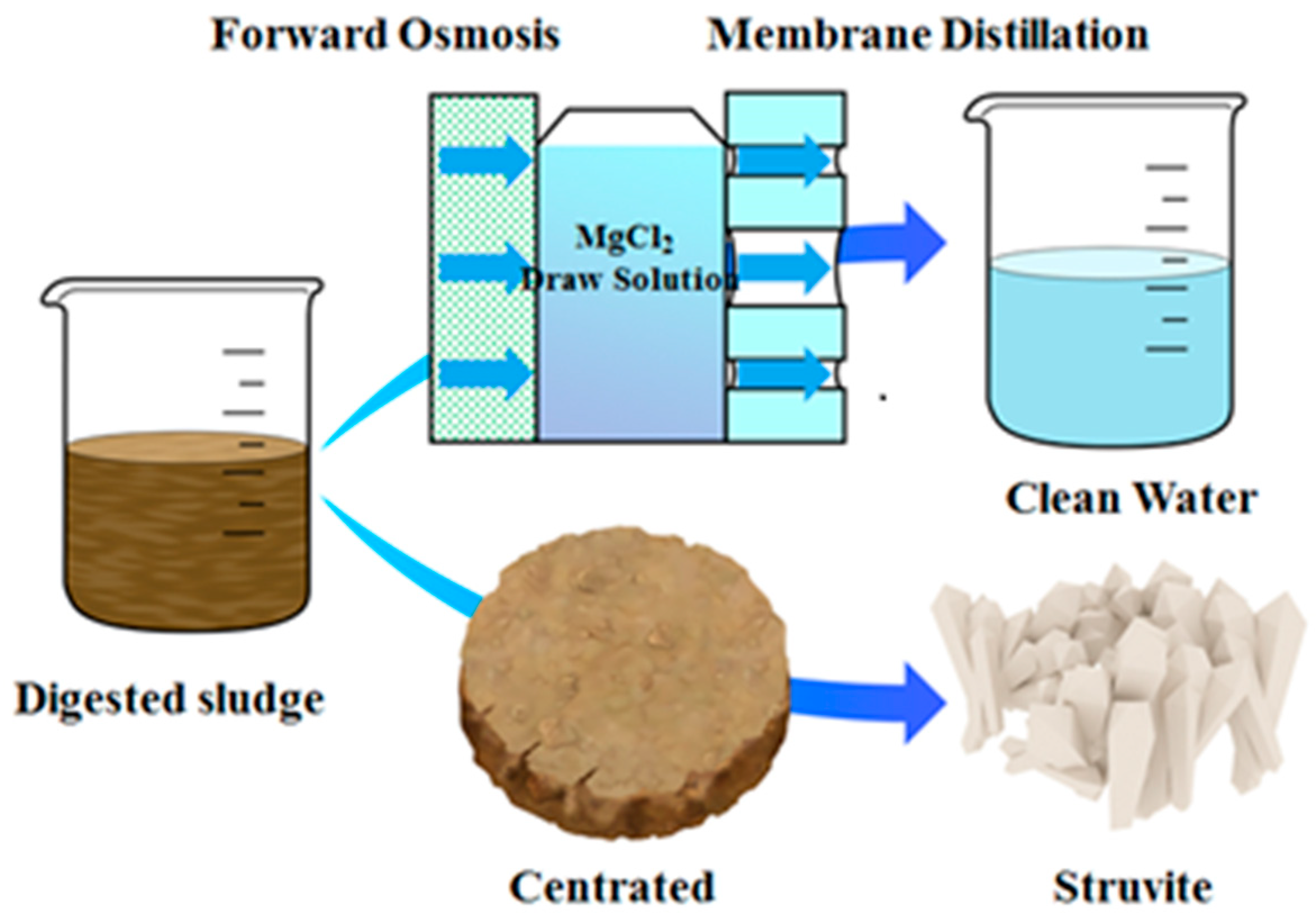 Membranes 12 01254 g004