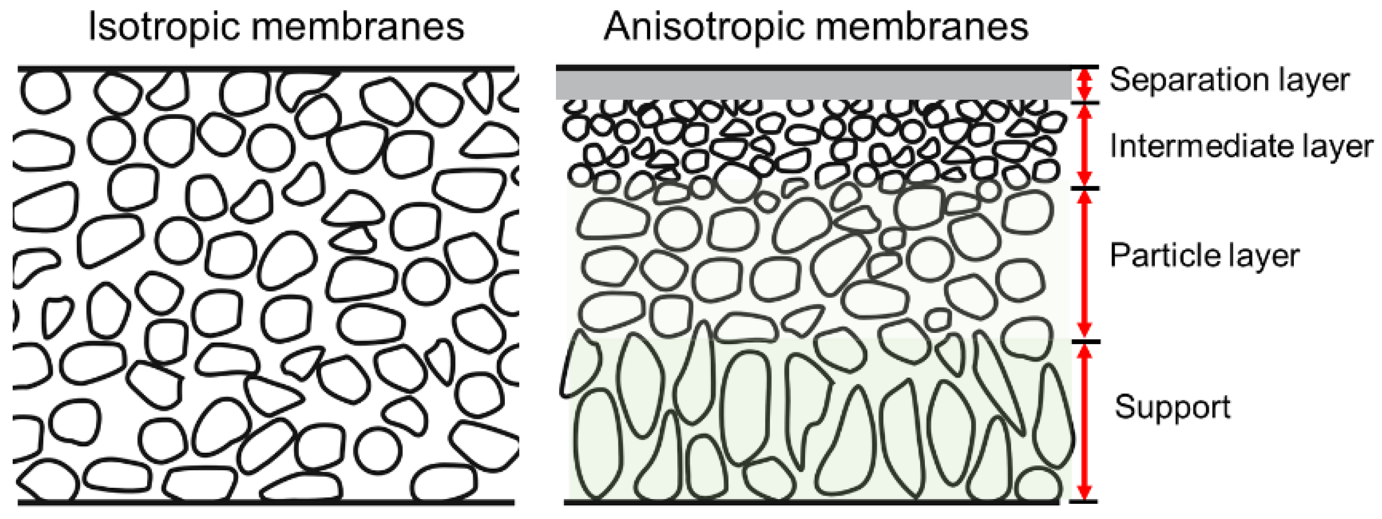 Membranes 12 01255 g002