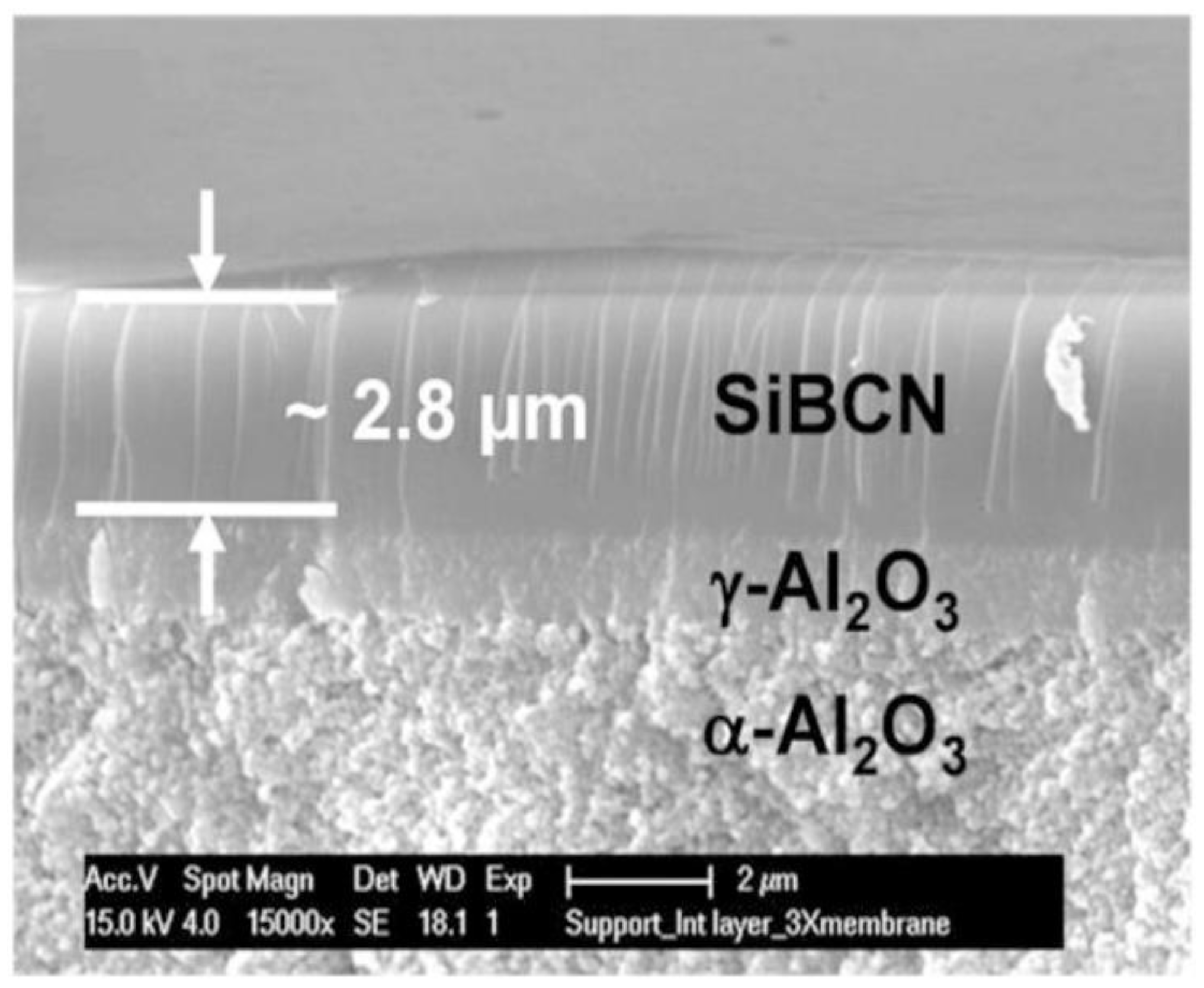 Membranes 12 01255 g022