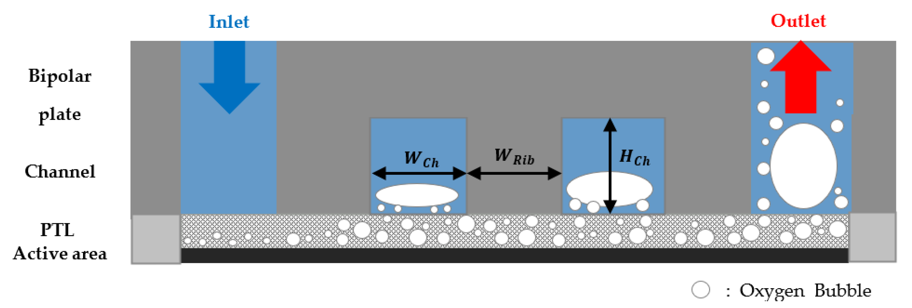 Membranes 12 01260 g003