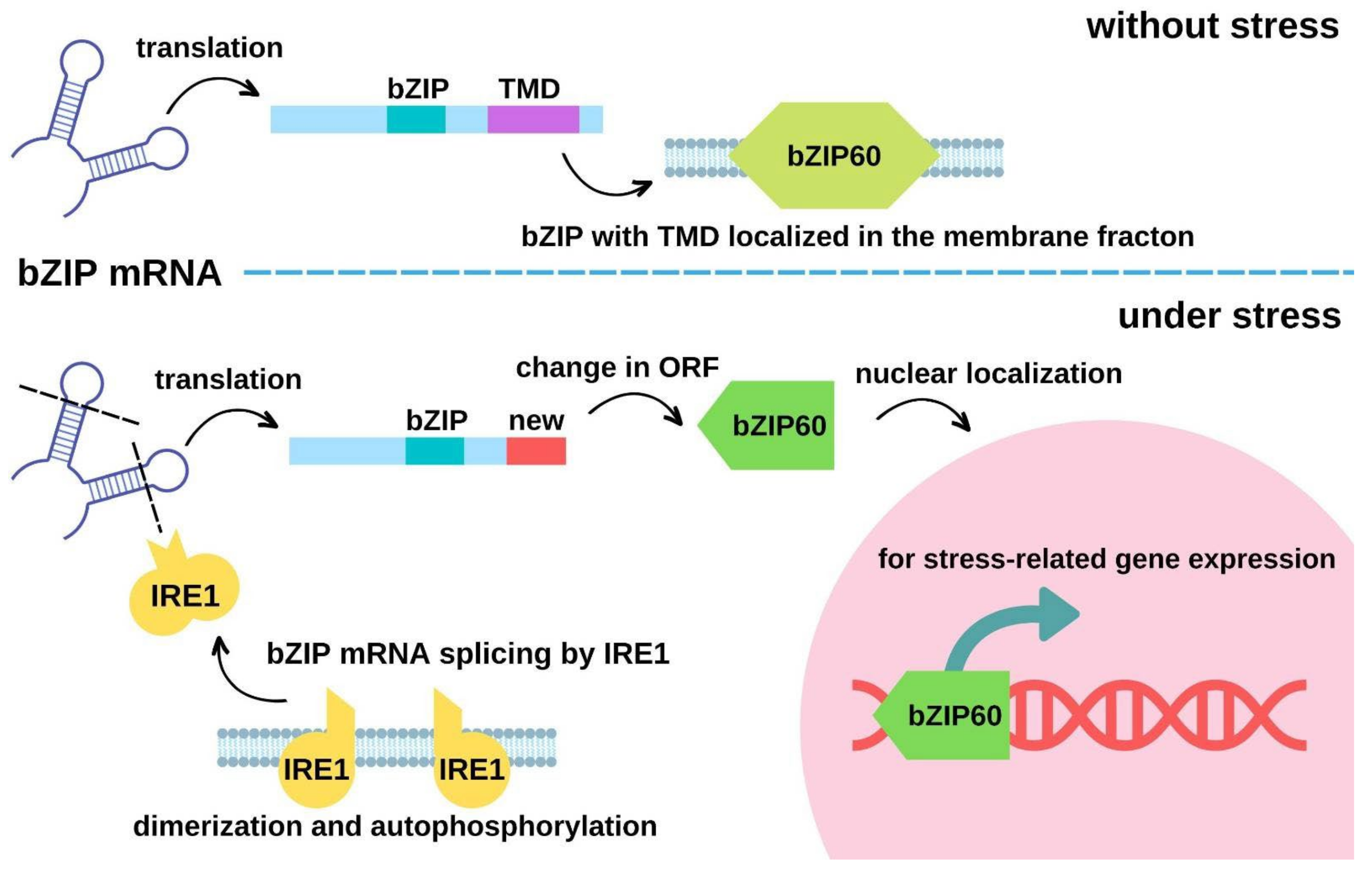 Membranes 12 01261 g001