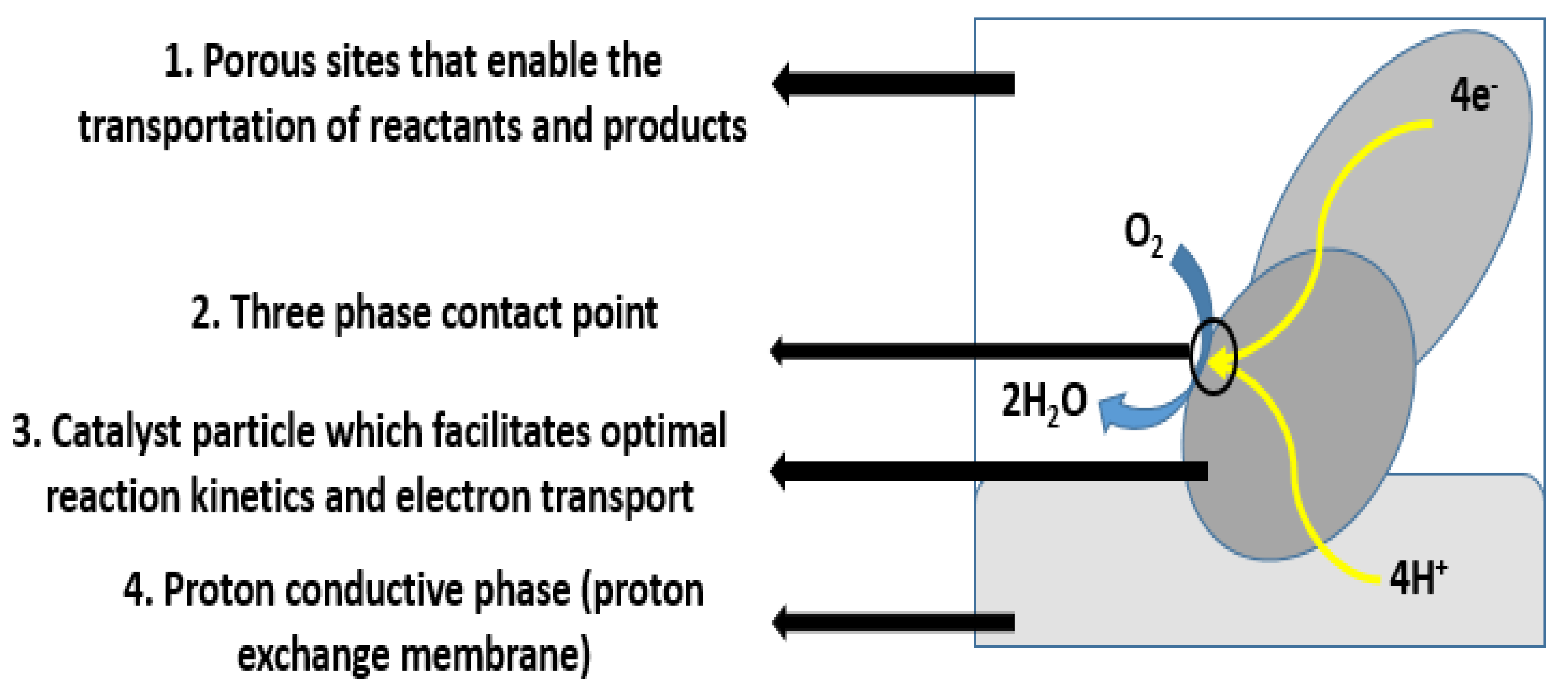 Membranes 12 01266 g005