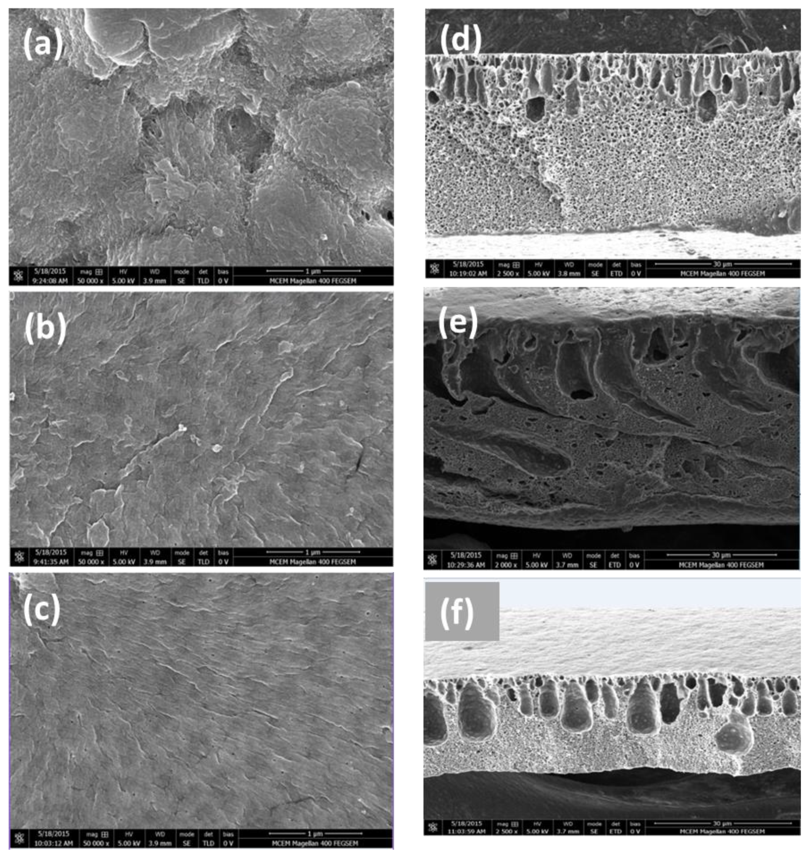 Membranes 12 01268 g003 Membranes 12 01268 g003
