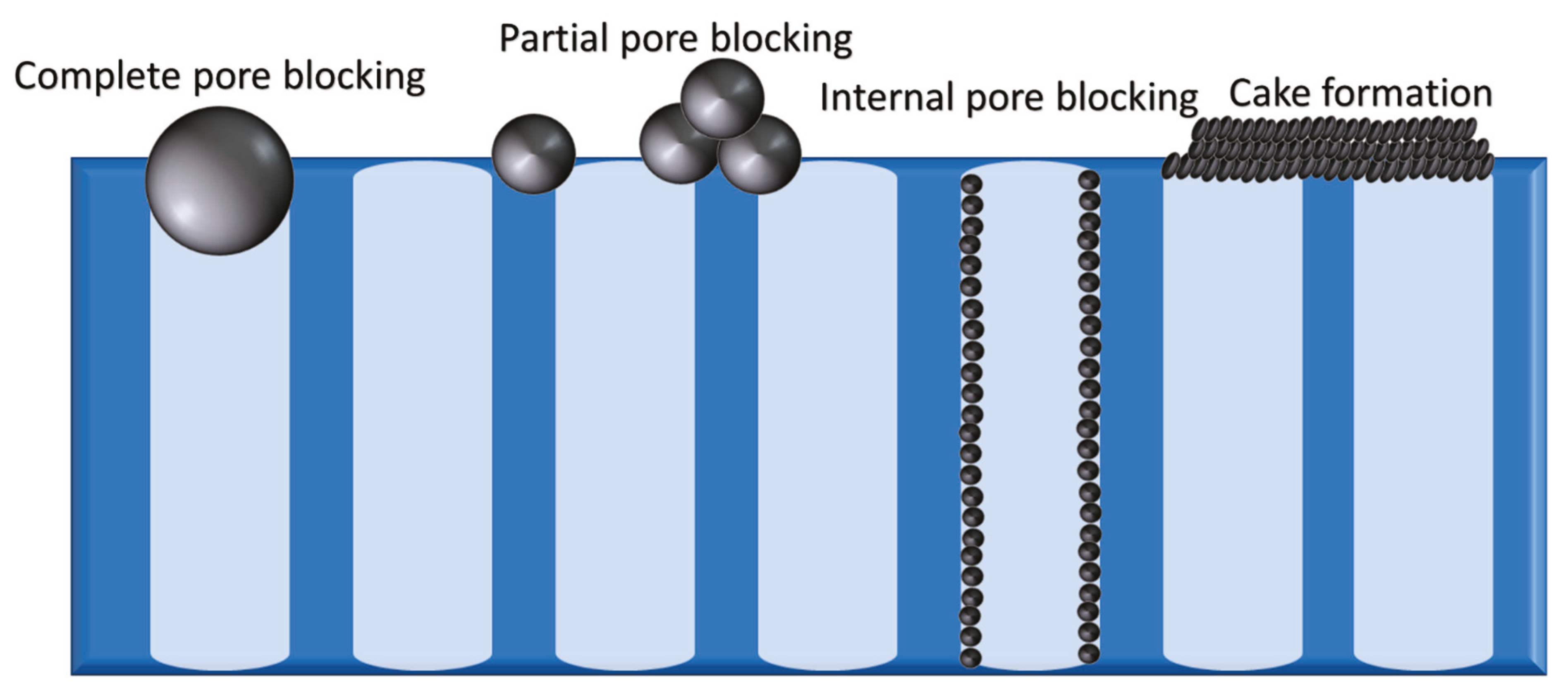 Membranes 12 01271 g001