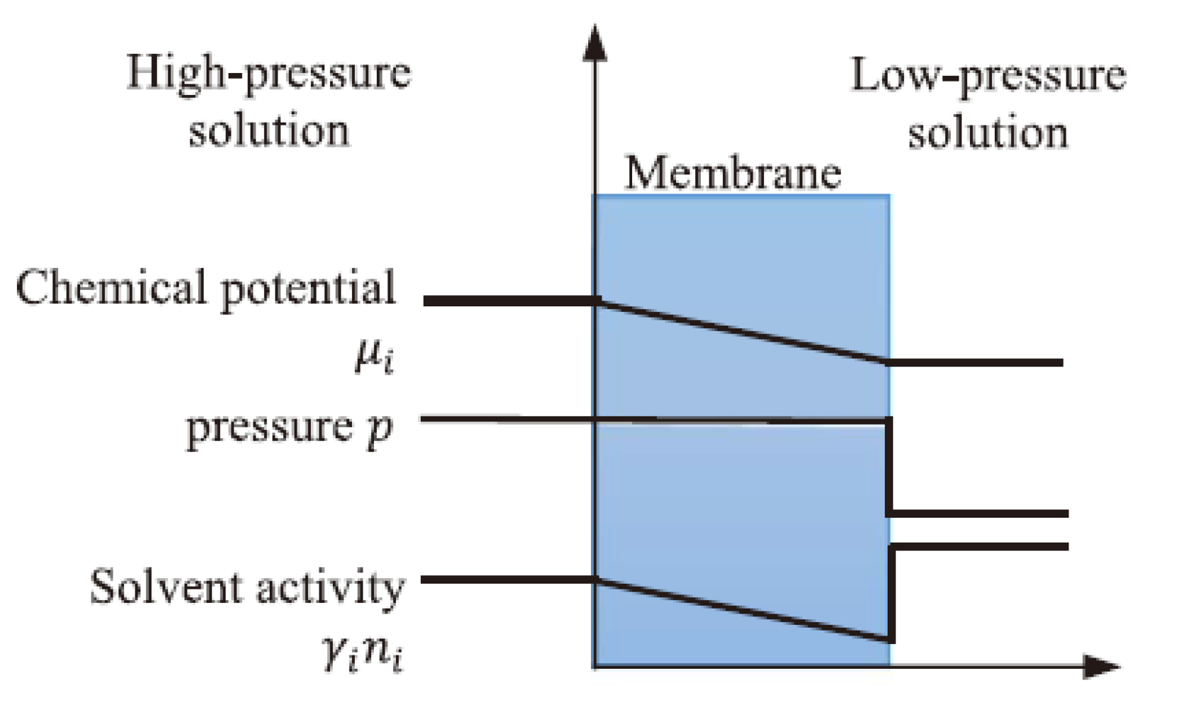 Membranes 12 01274 g006