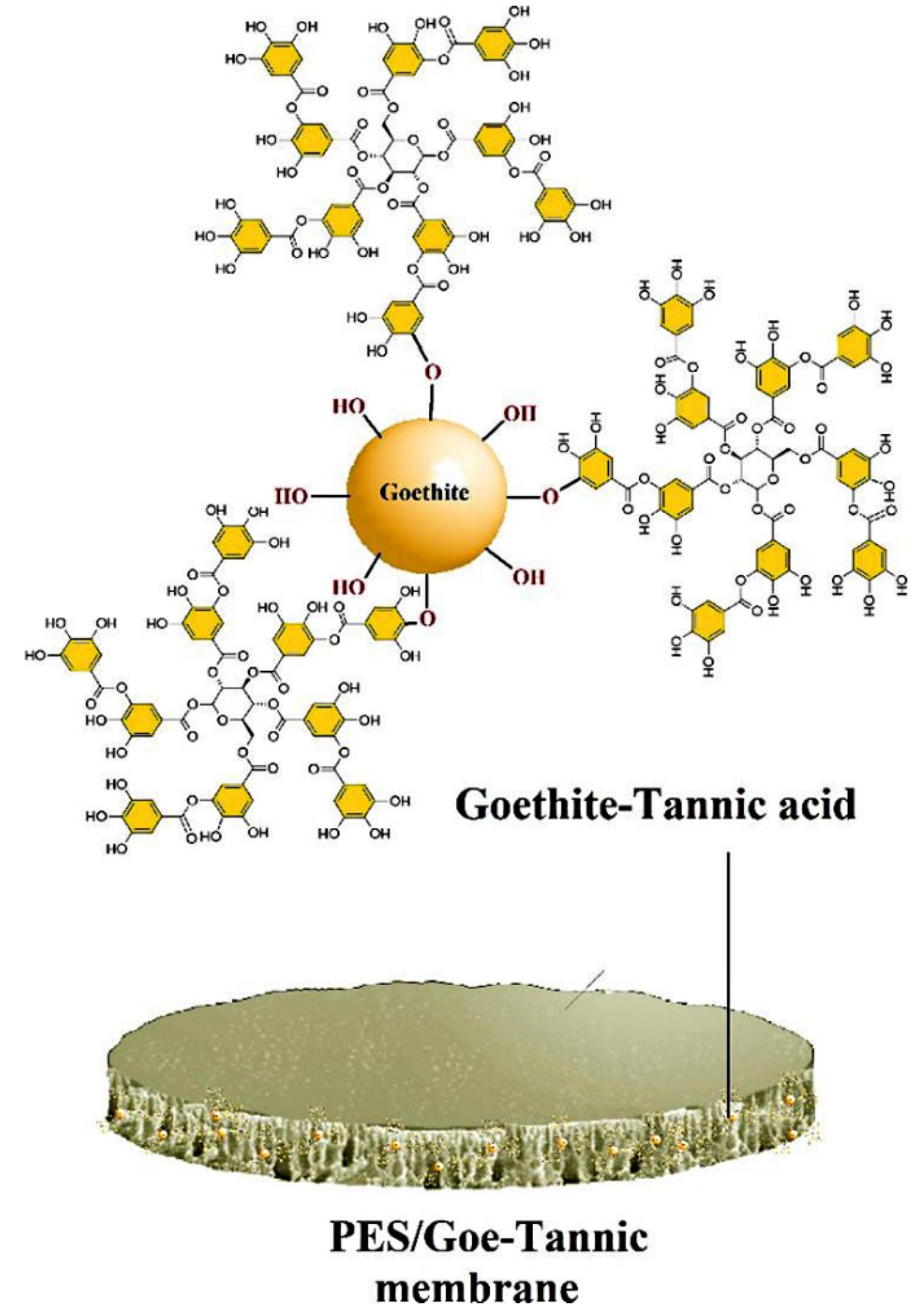 Membranes 12 01276 g003