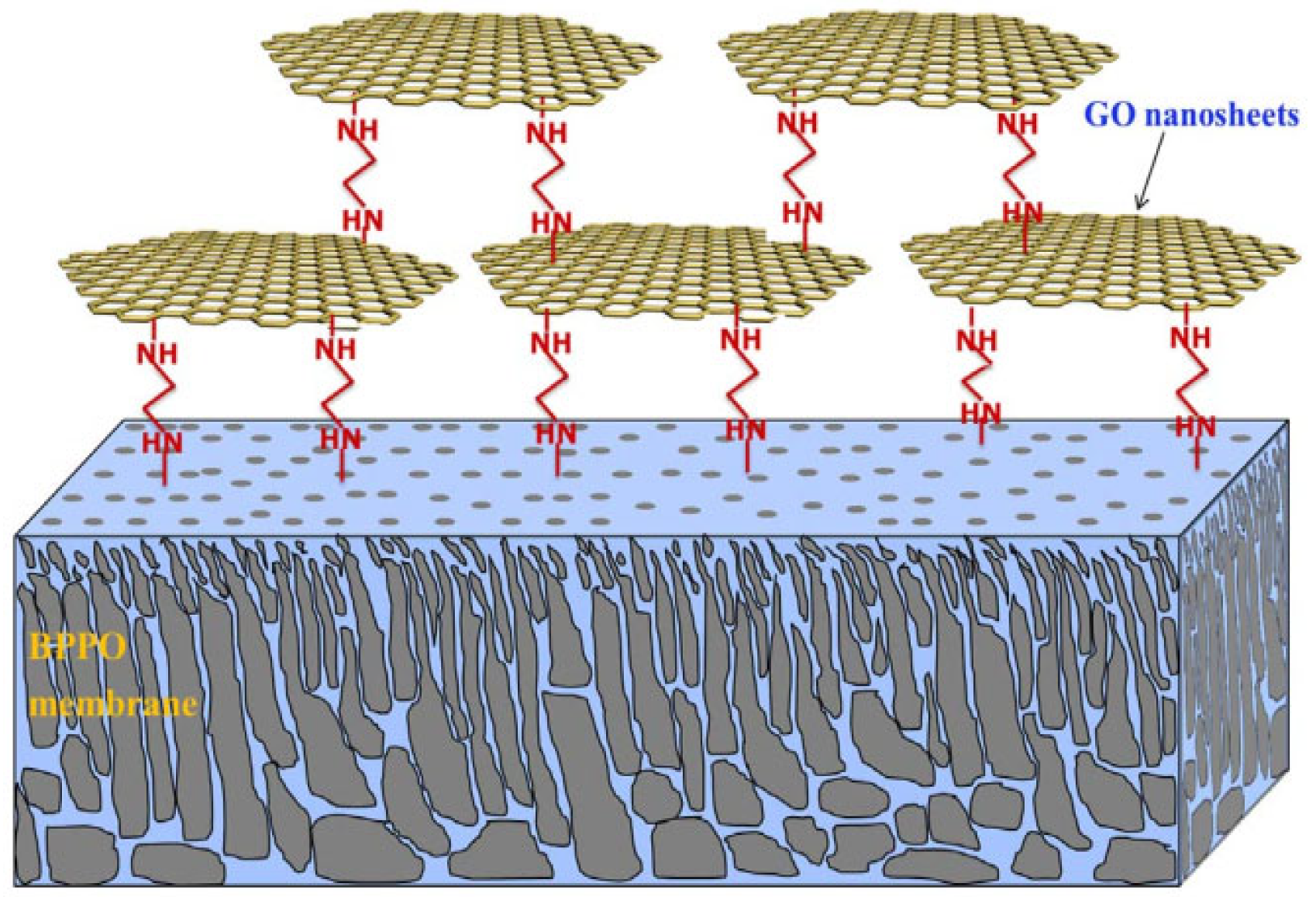 Membranes 12 01276 g004