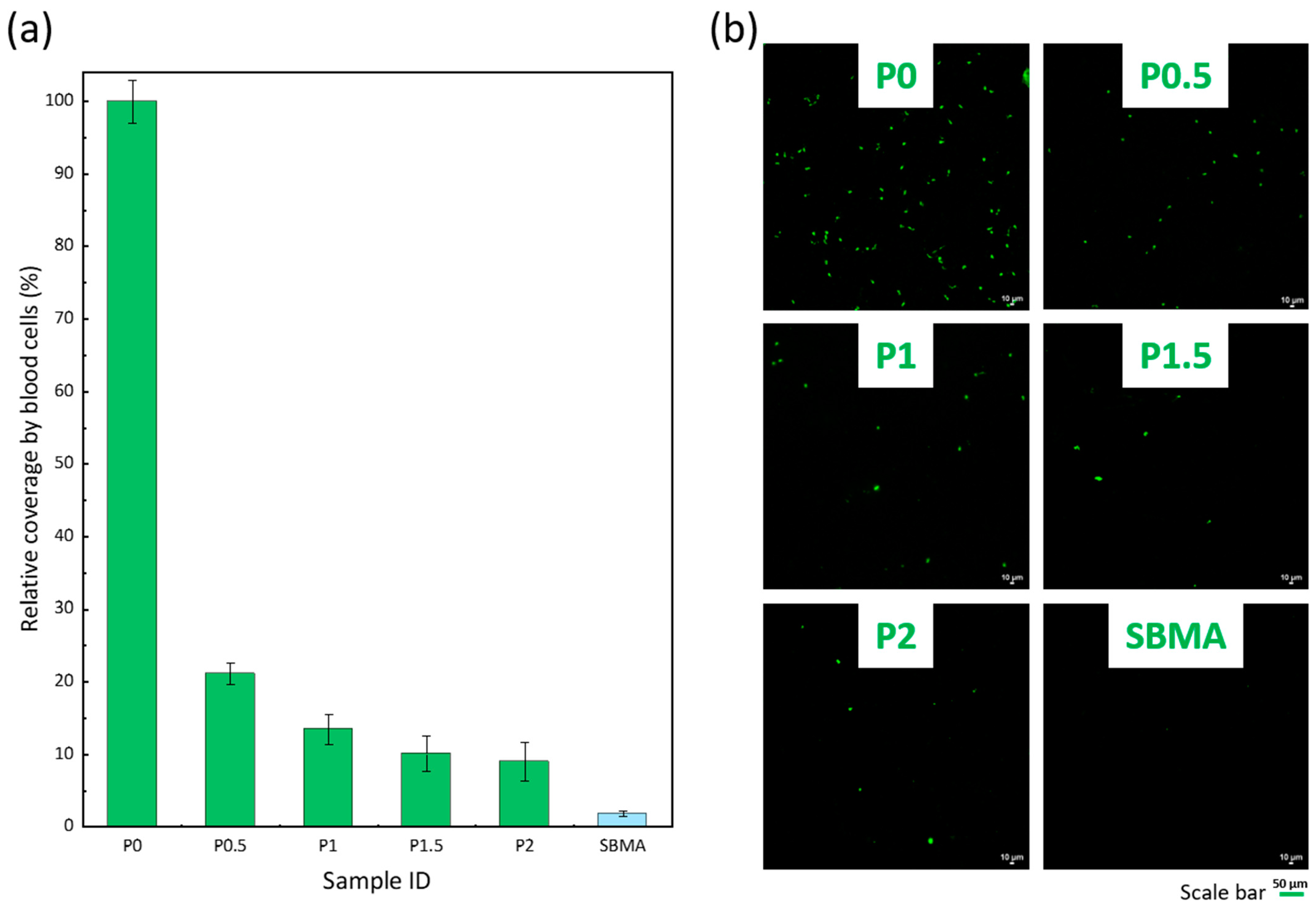 Membranes 12 01277 g008 Membranes 12 01277 g008