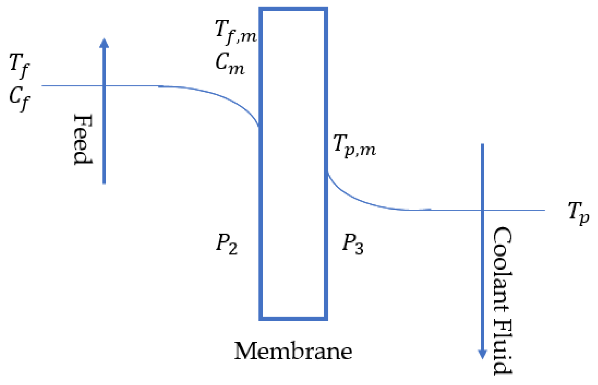 Membranes 12 01279 g002