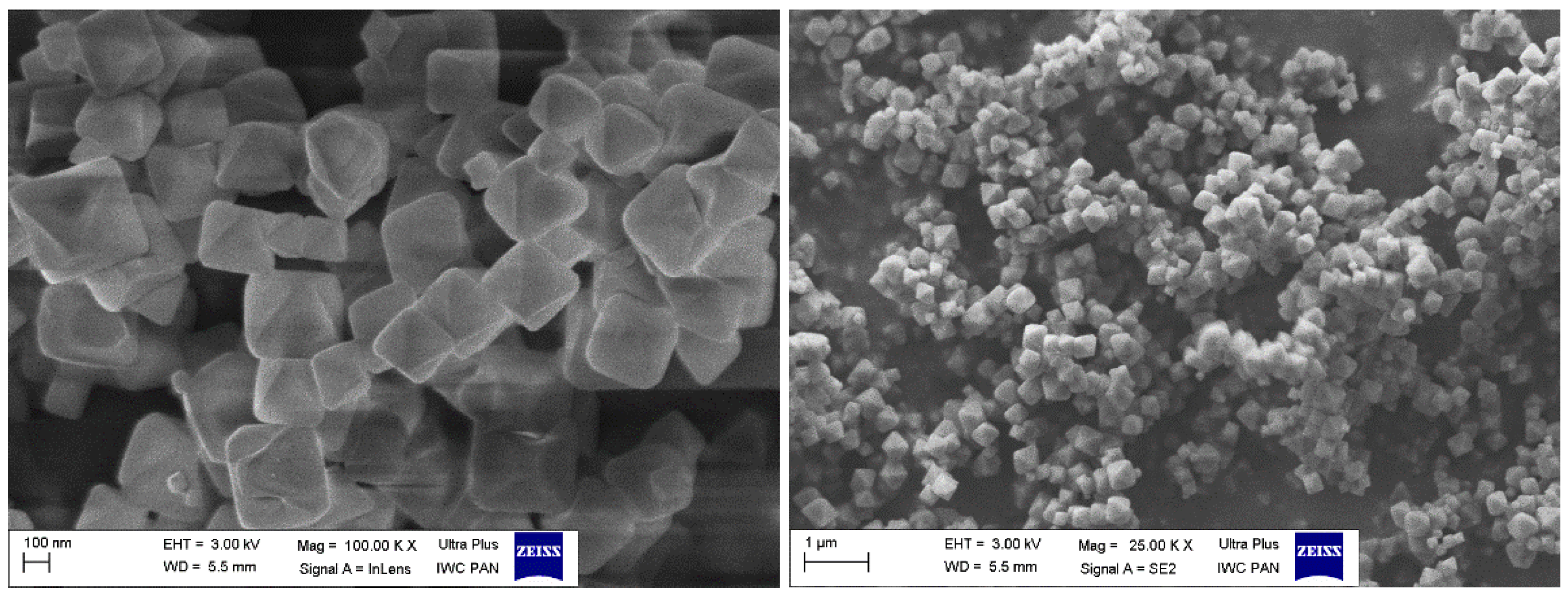 Membranes 12 01280 g001