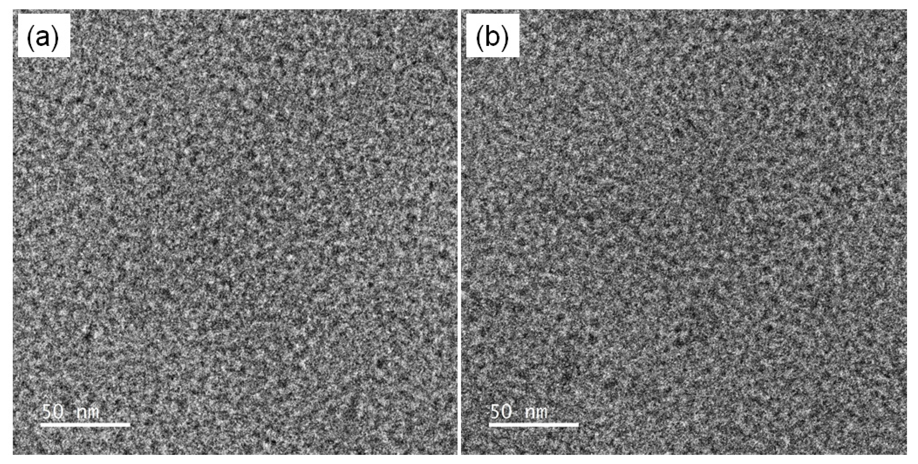 Membranes 12 01286 g003 Membranes 12 01286 g003