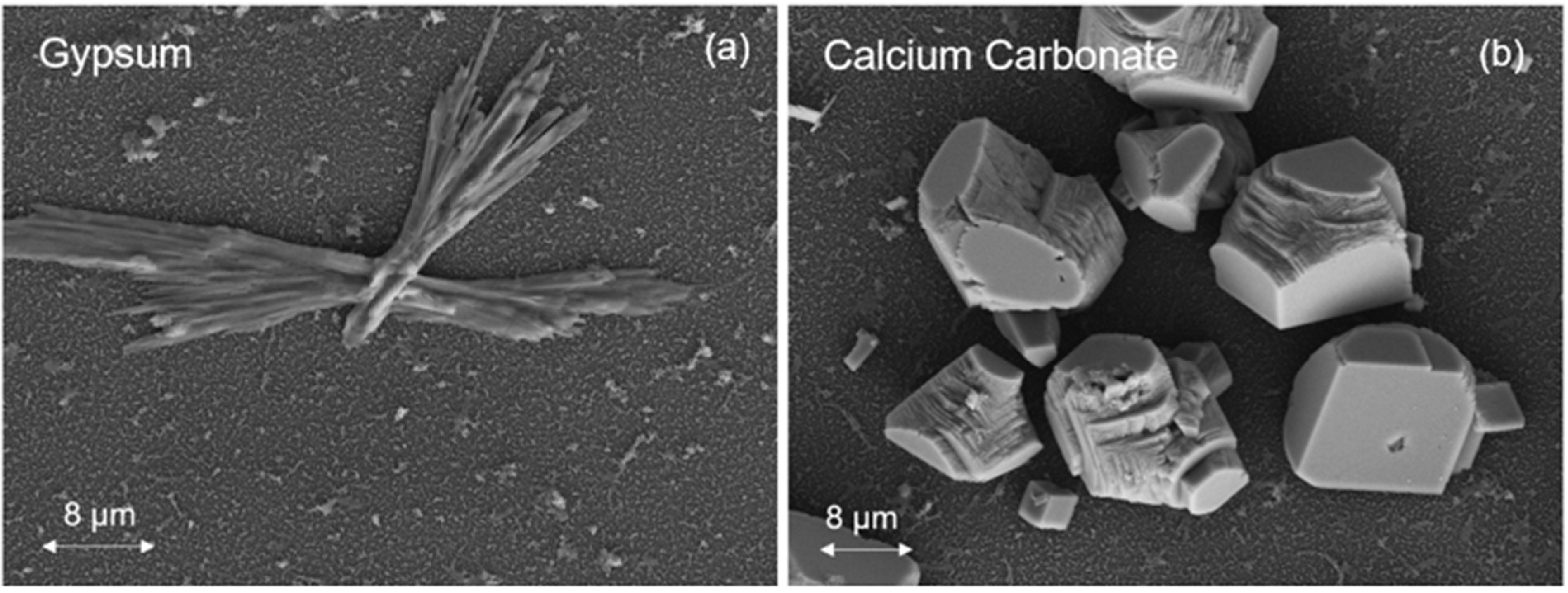 Membranes 12 01287 g002