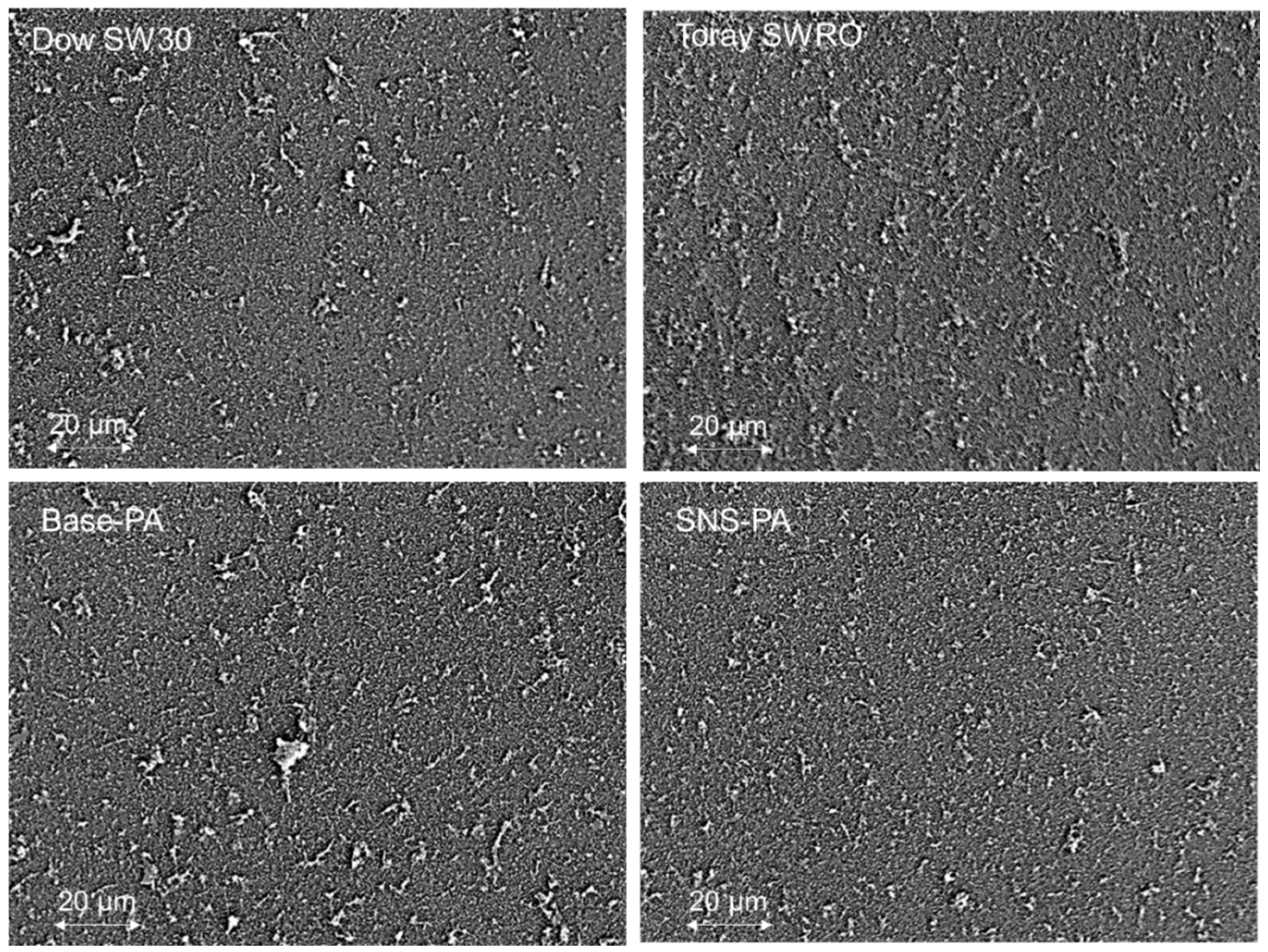 Membranes 12 01287 g0a2