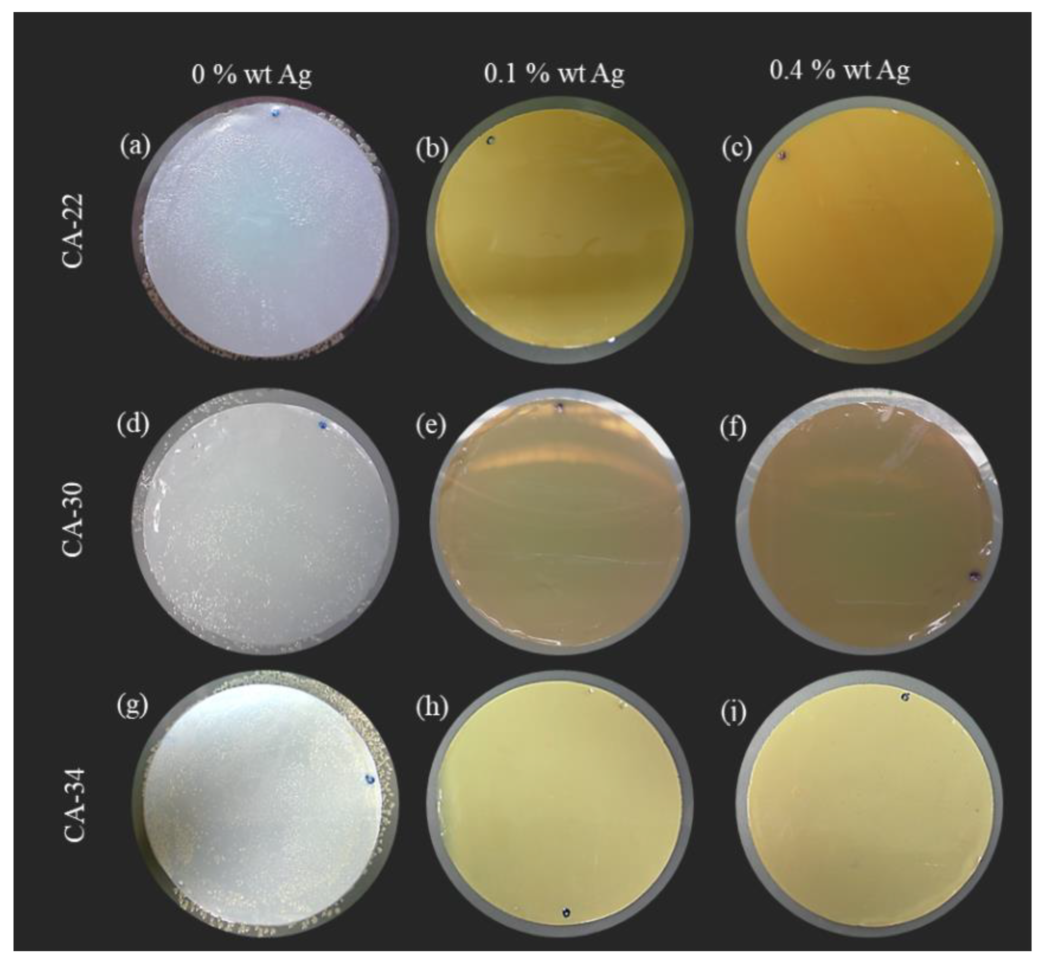 Membranes 13 00004 g012