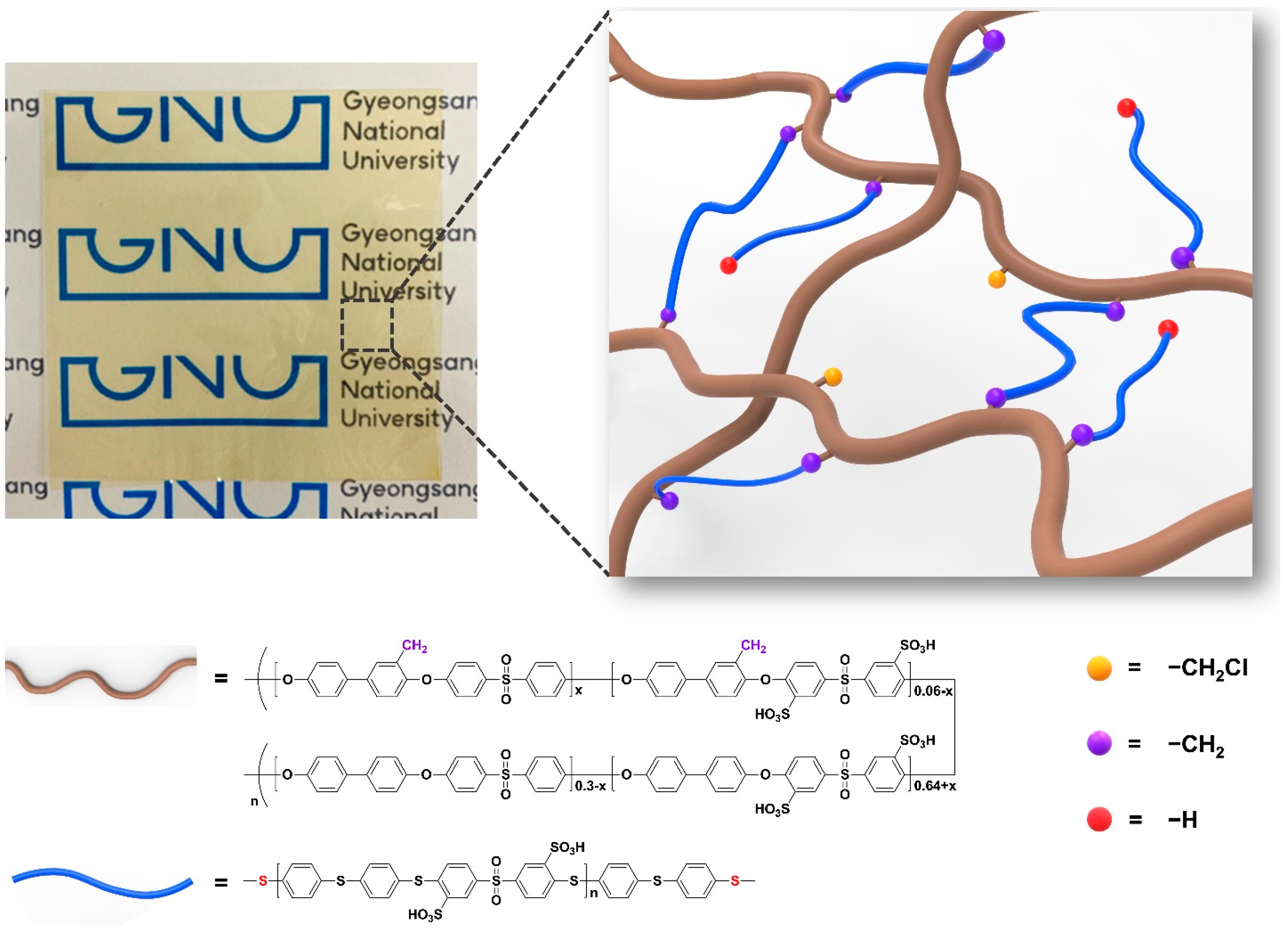 Membranes 13 00007 g003