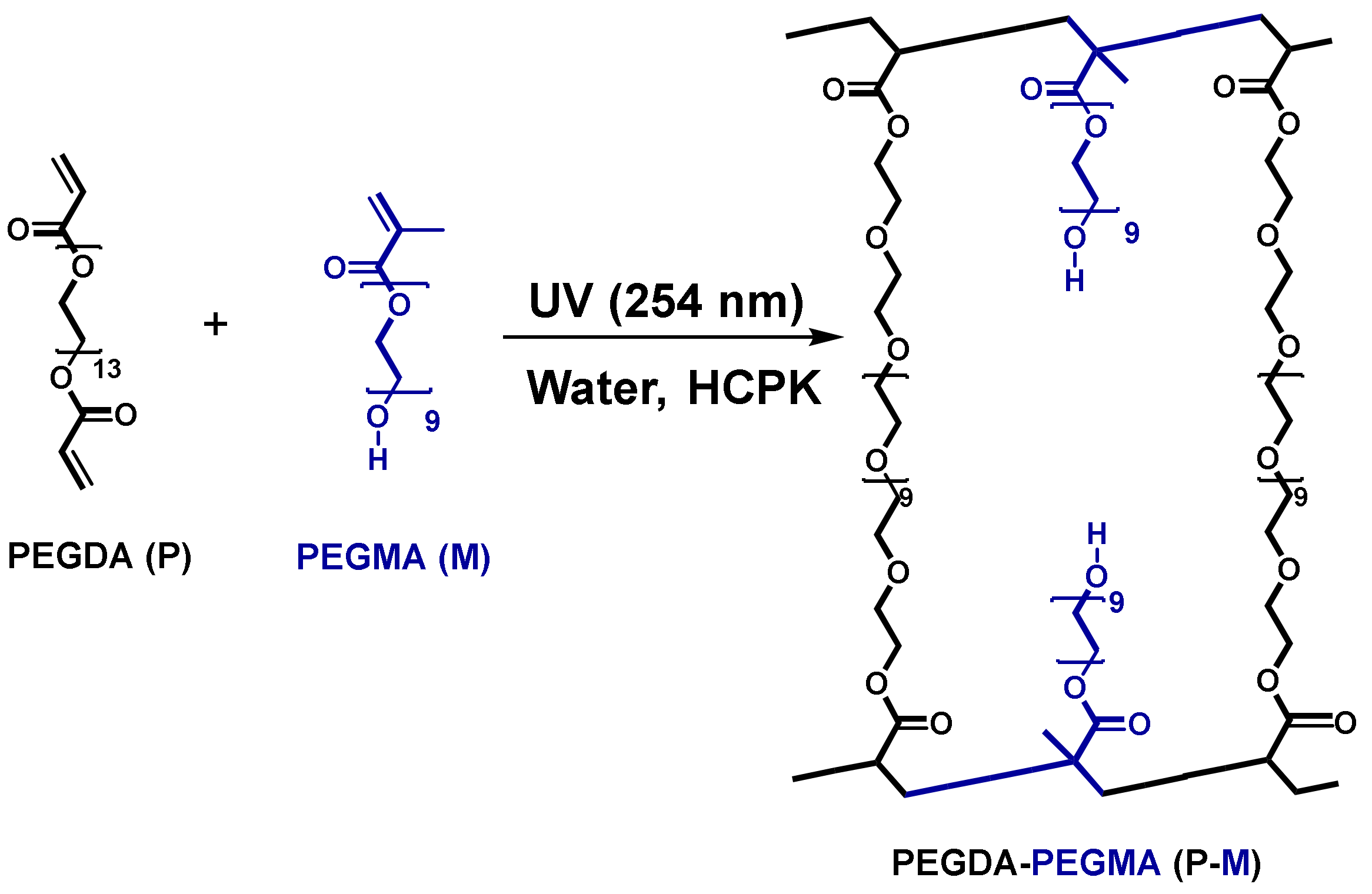 Membranes 13 00017 g001