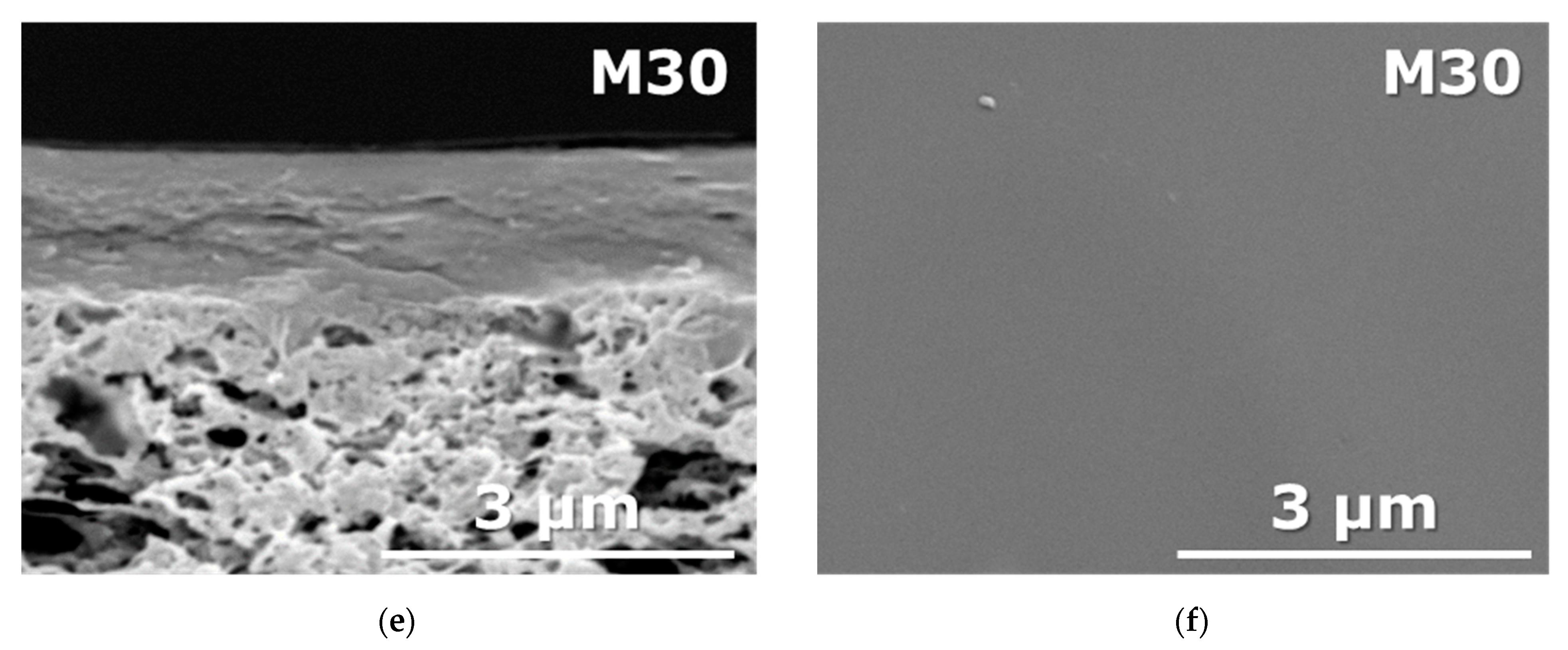 Membranes 13 00021 g002b Membranes 13 00021 g002b