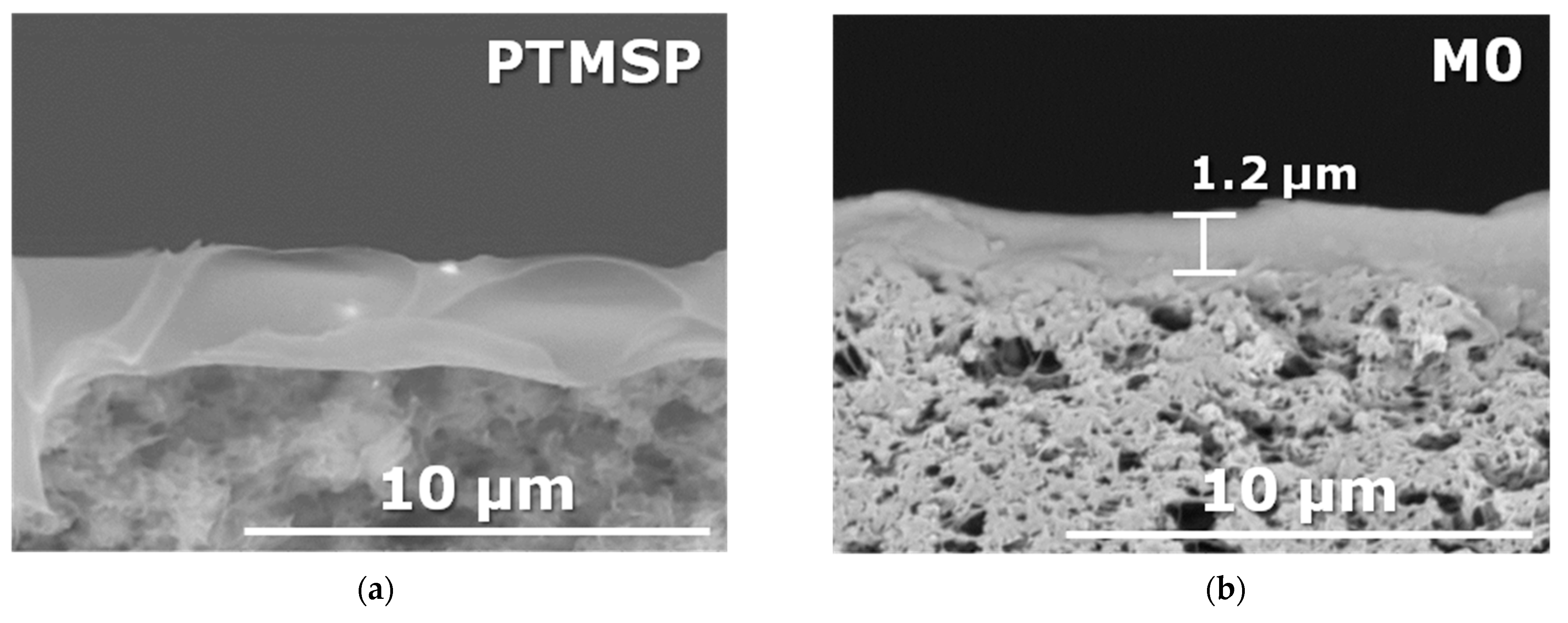 Membranes 13 00021 g003a Membranes 13 00021 g003a
