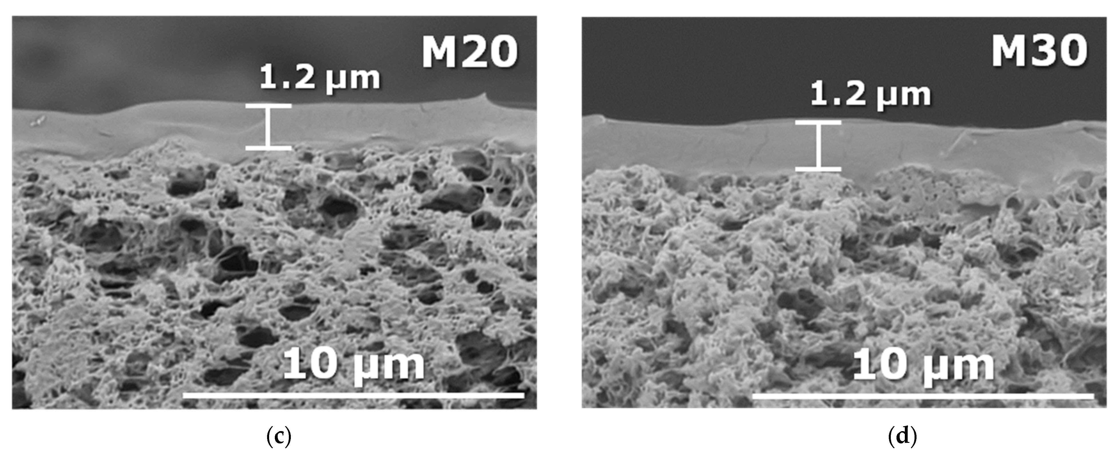 Membranes 13 00021 g003b Membranes 13 00021 g003b