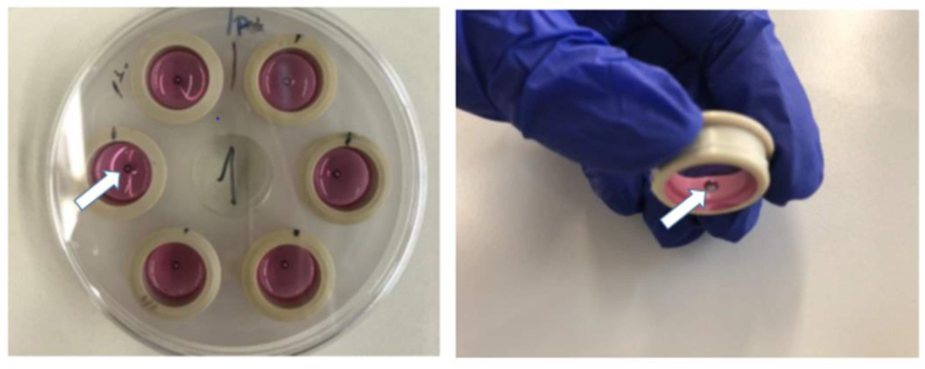 Membranes 13 00022 g001 Membranes 13 00022 g001