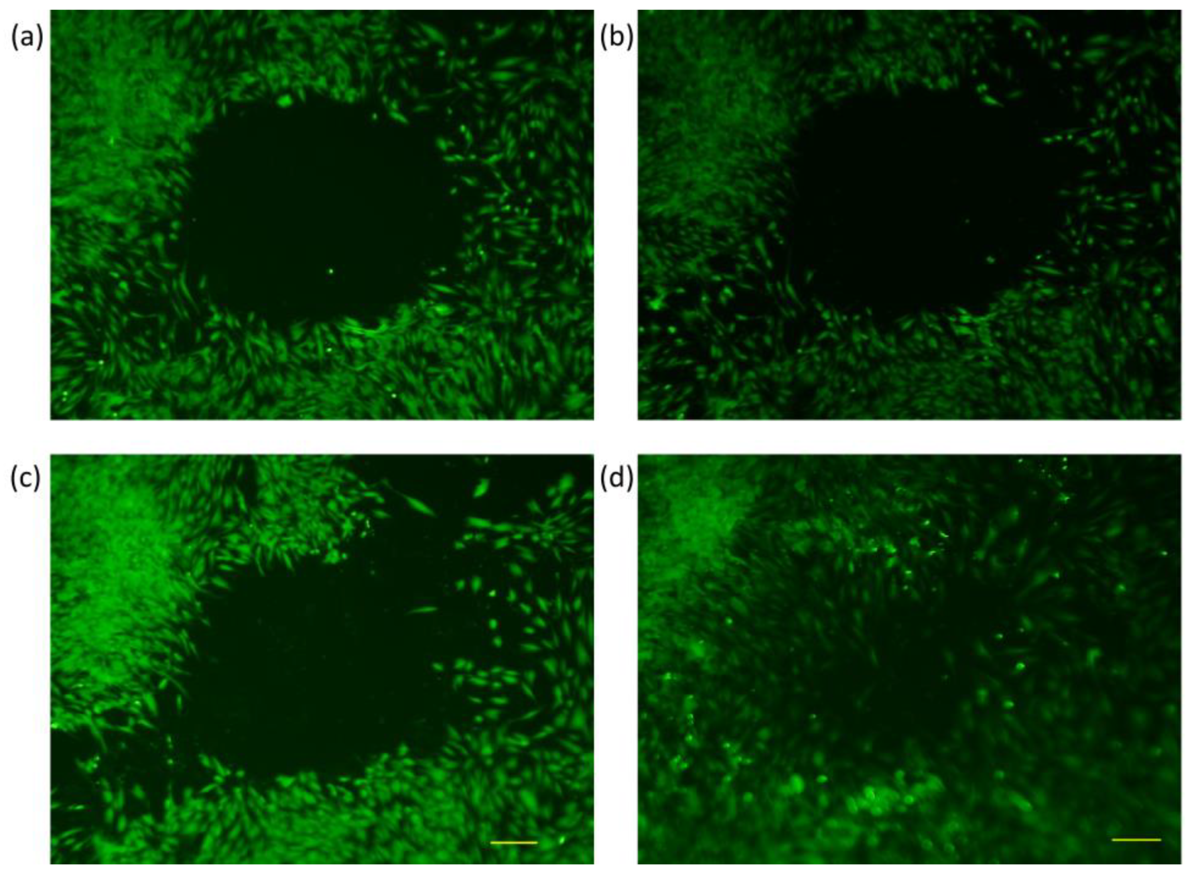 Membranes 13 00022 g005 Membranes 13 00022 g005