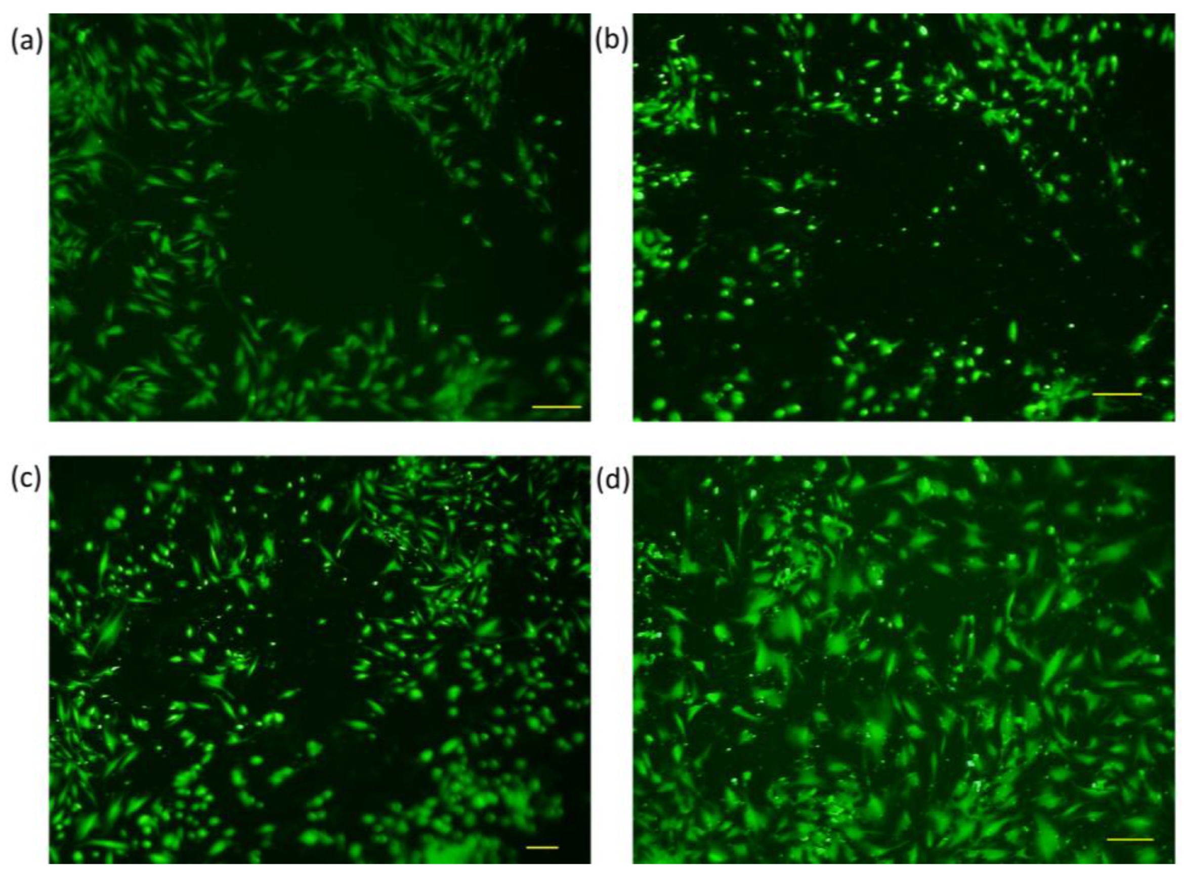 Membranes 13 00022 g006 Membranes 13 00022 g006