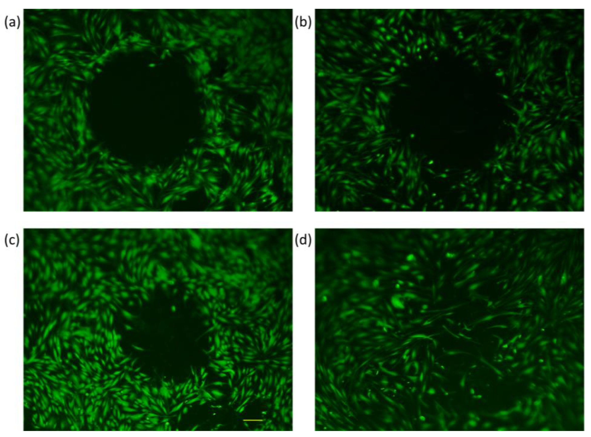 Membranes 13 00022 g007 Membranes 13 00022 g007