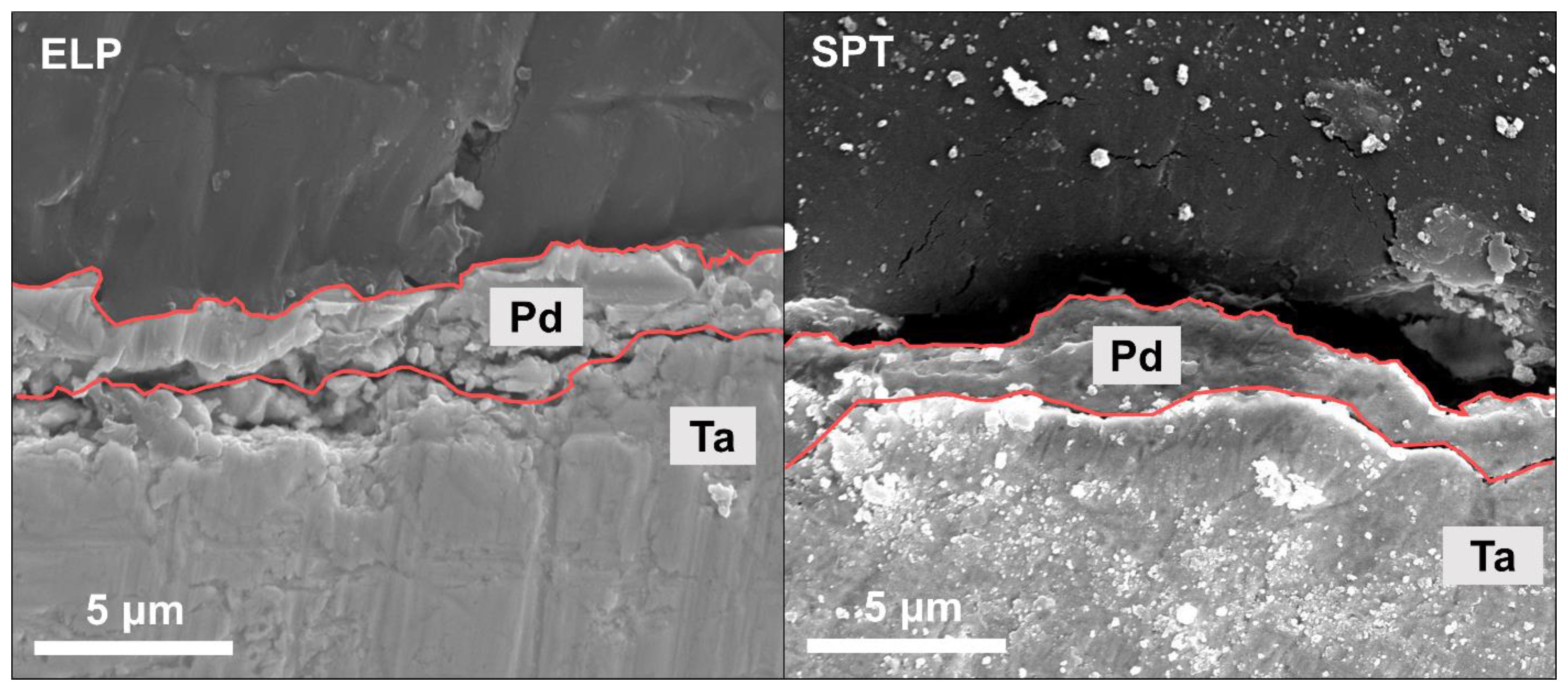 Membranes 13 00023 g004