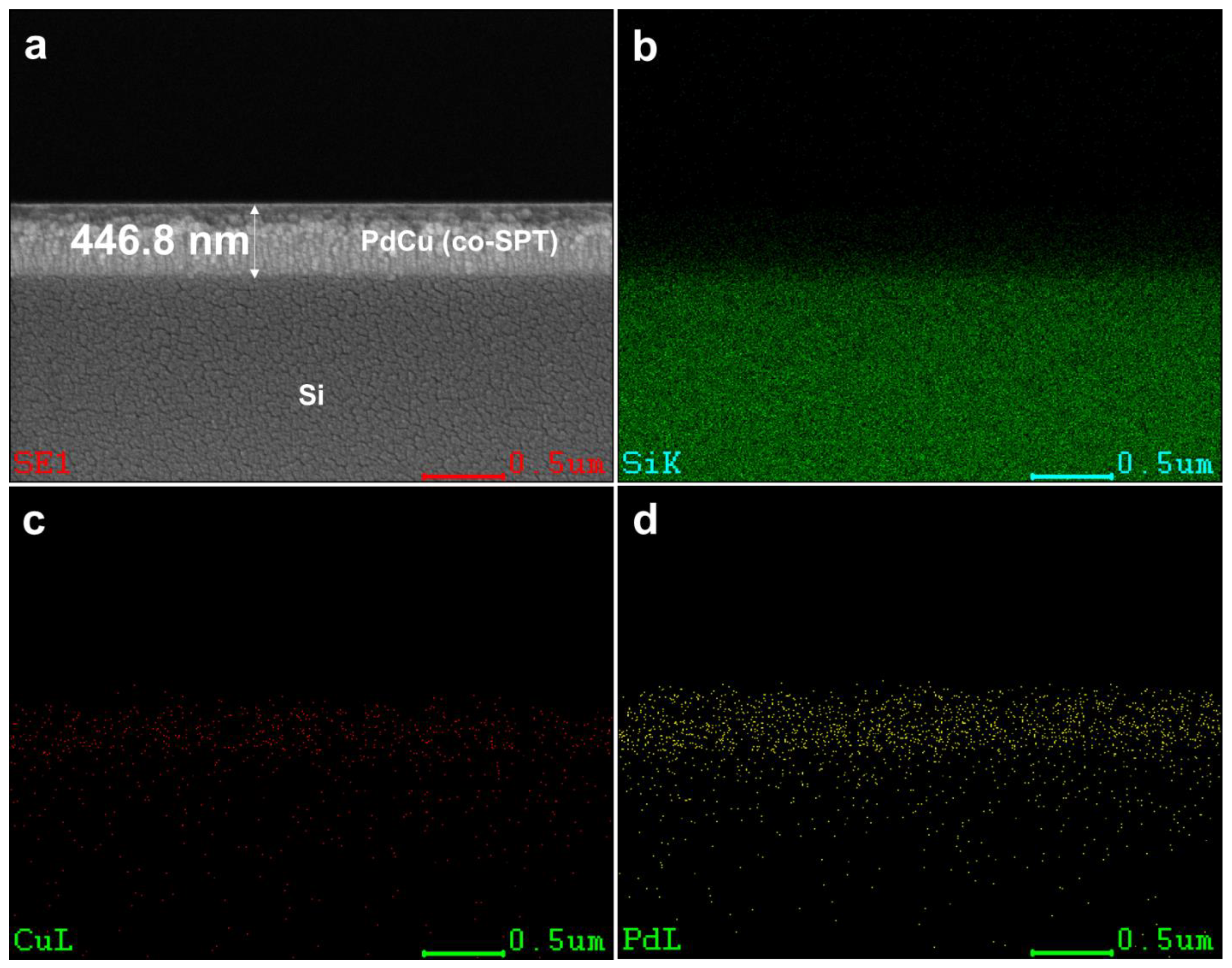 Membranes 13 00023 g005