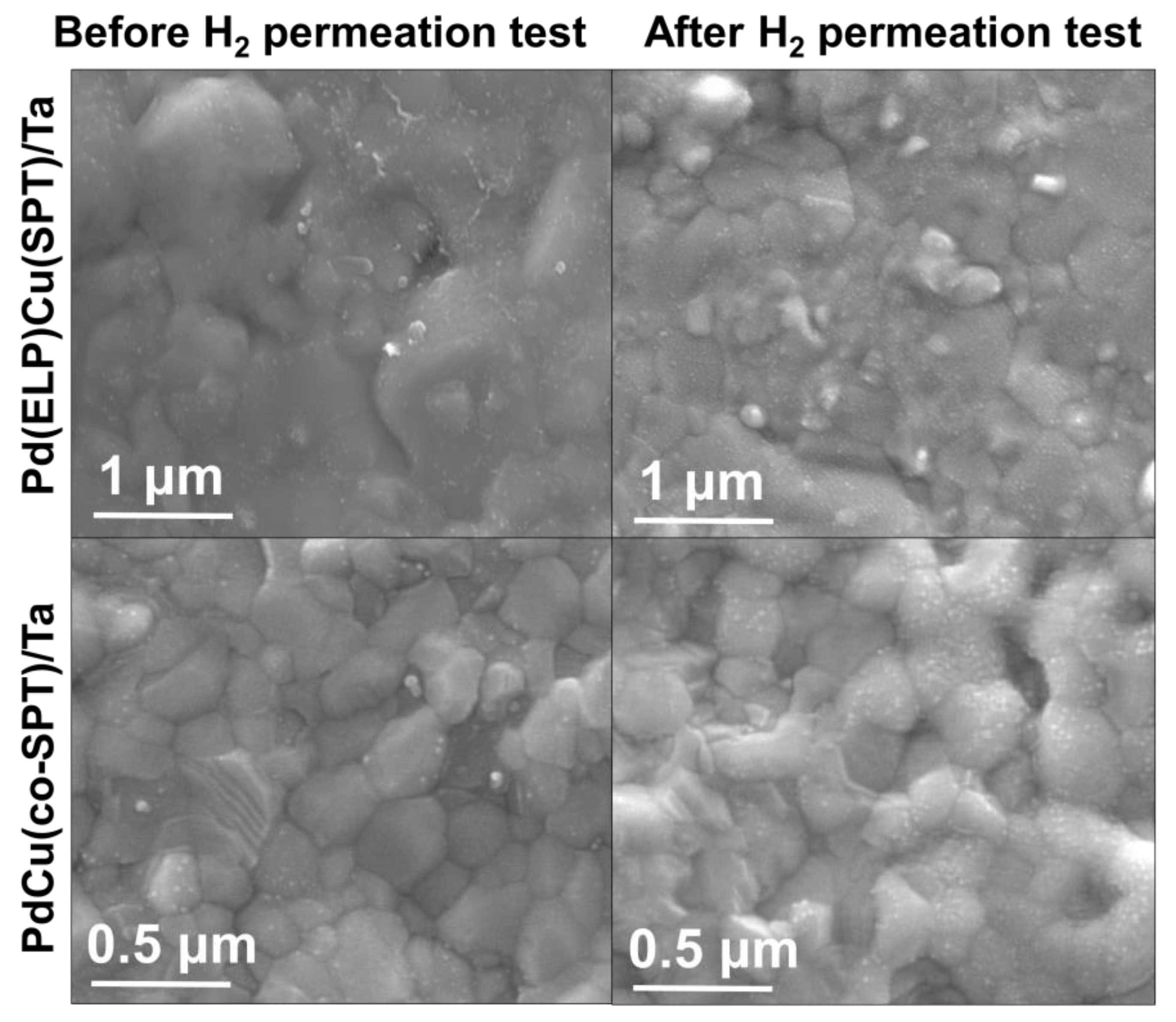 Membranes 13 00023 g008