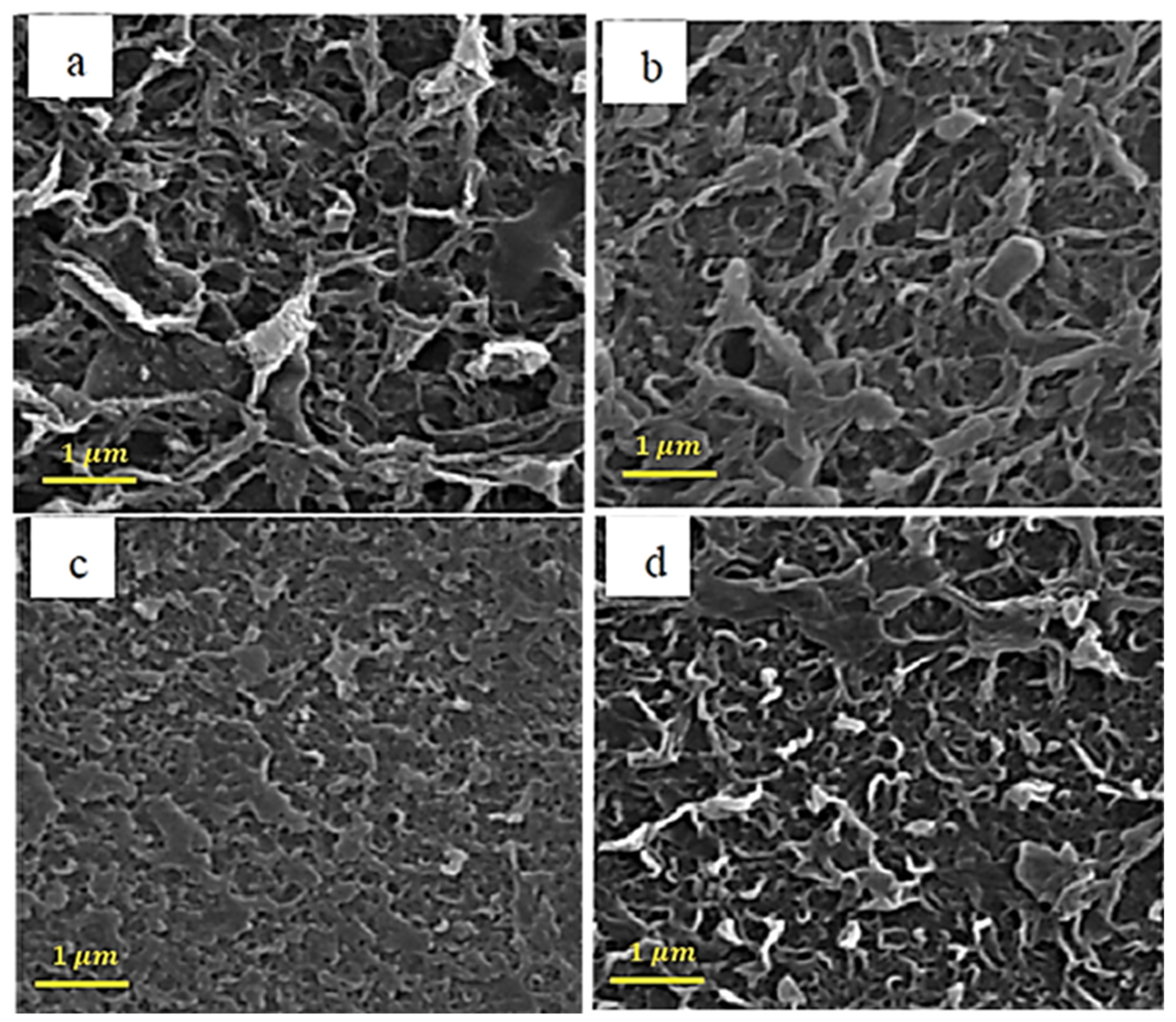 Membranes 13 00031 g002 Membranes 13 00031 g002