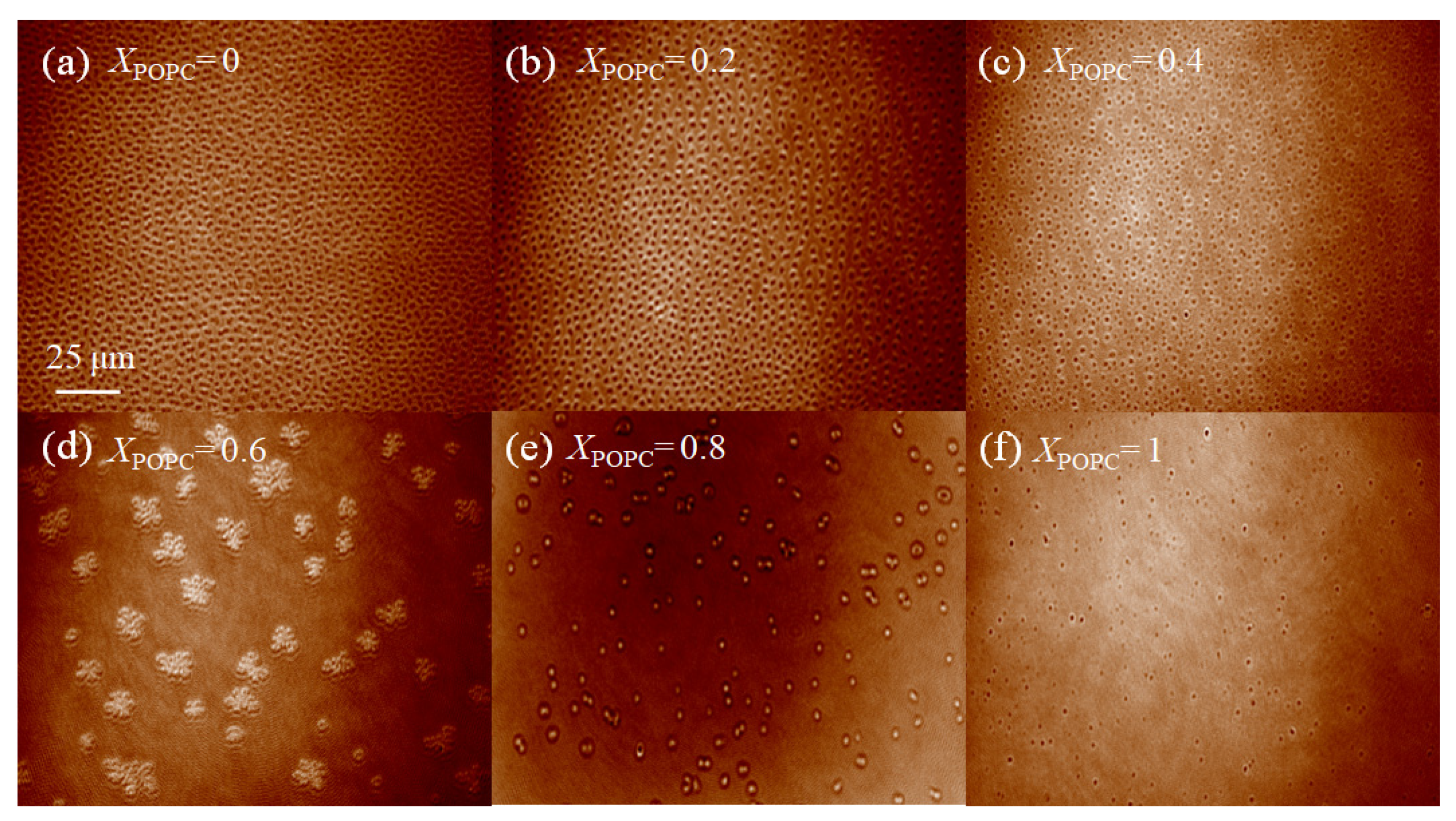 Membranes 13 00033 g004 Membranes 13 00033 g004