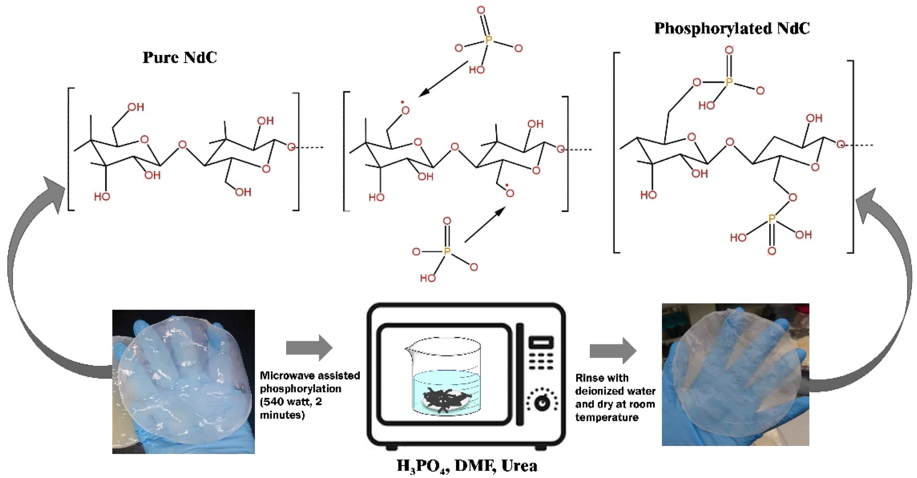 Membranes 13 00043 g001 Membranes 13 00043 g001