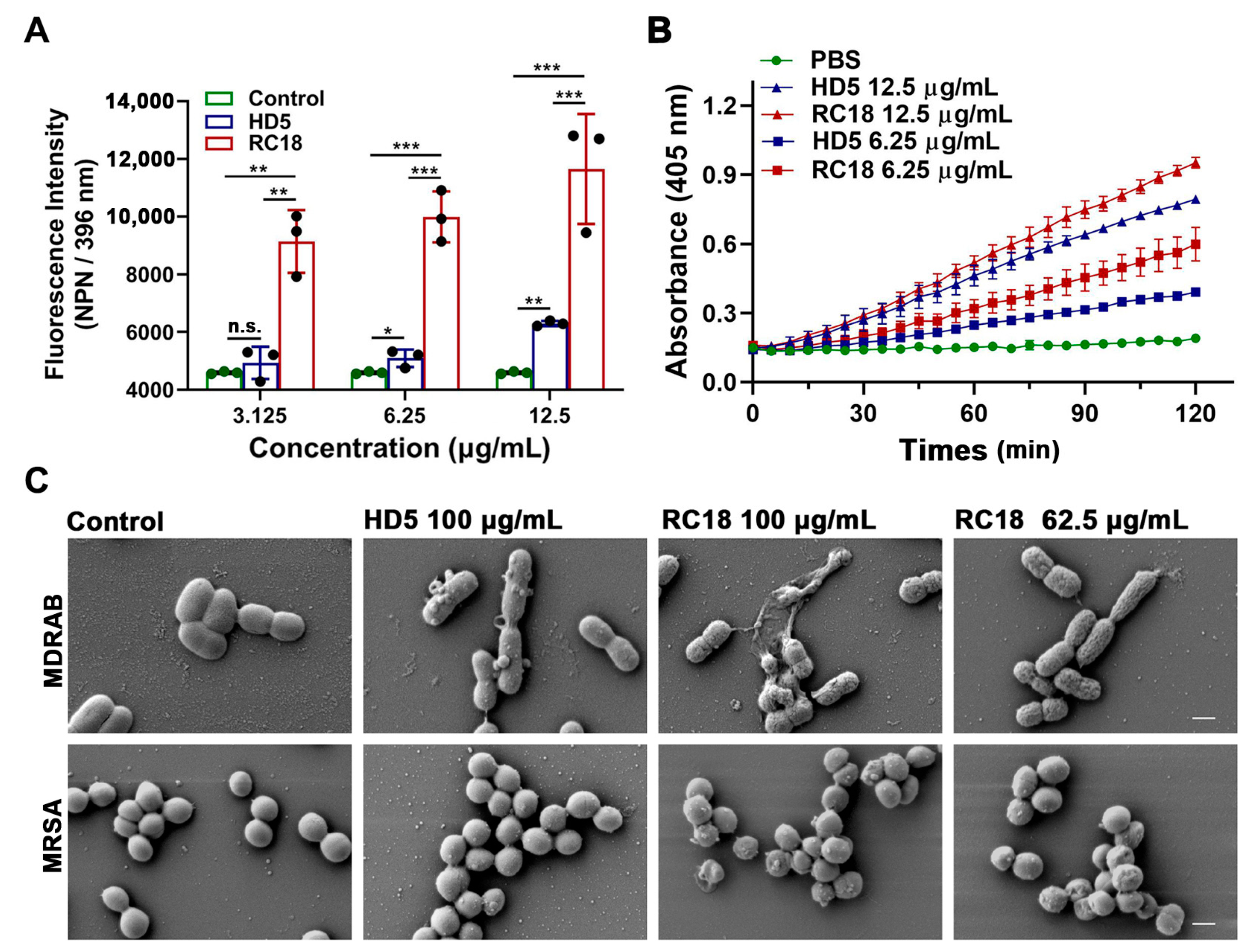 Membranes 13 00051 g003 Membranes 13 00051 g003