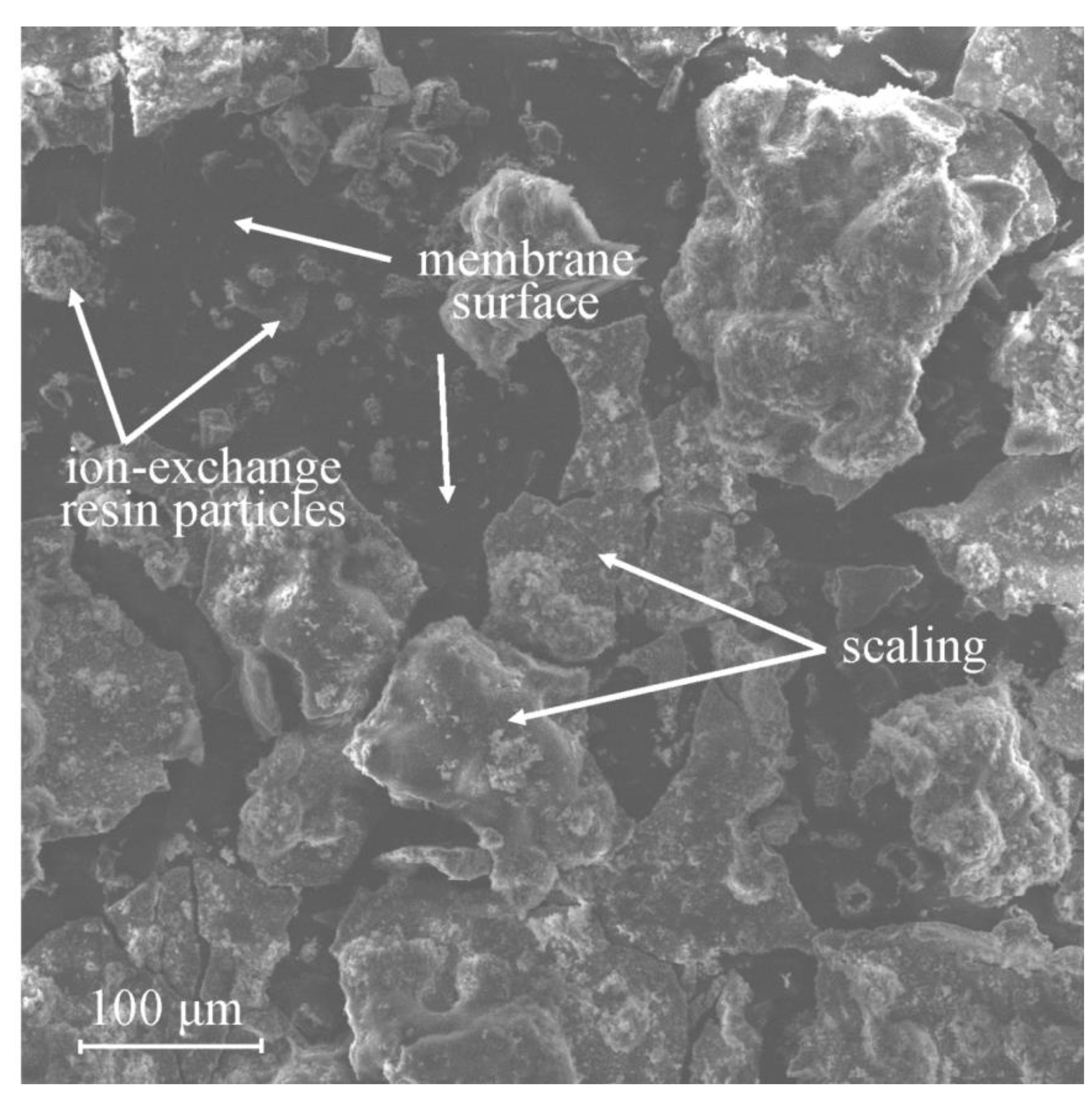 Membranes 13 00052 g003 Membranes 13 00052 g003