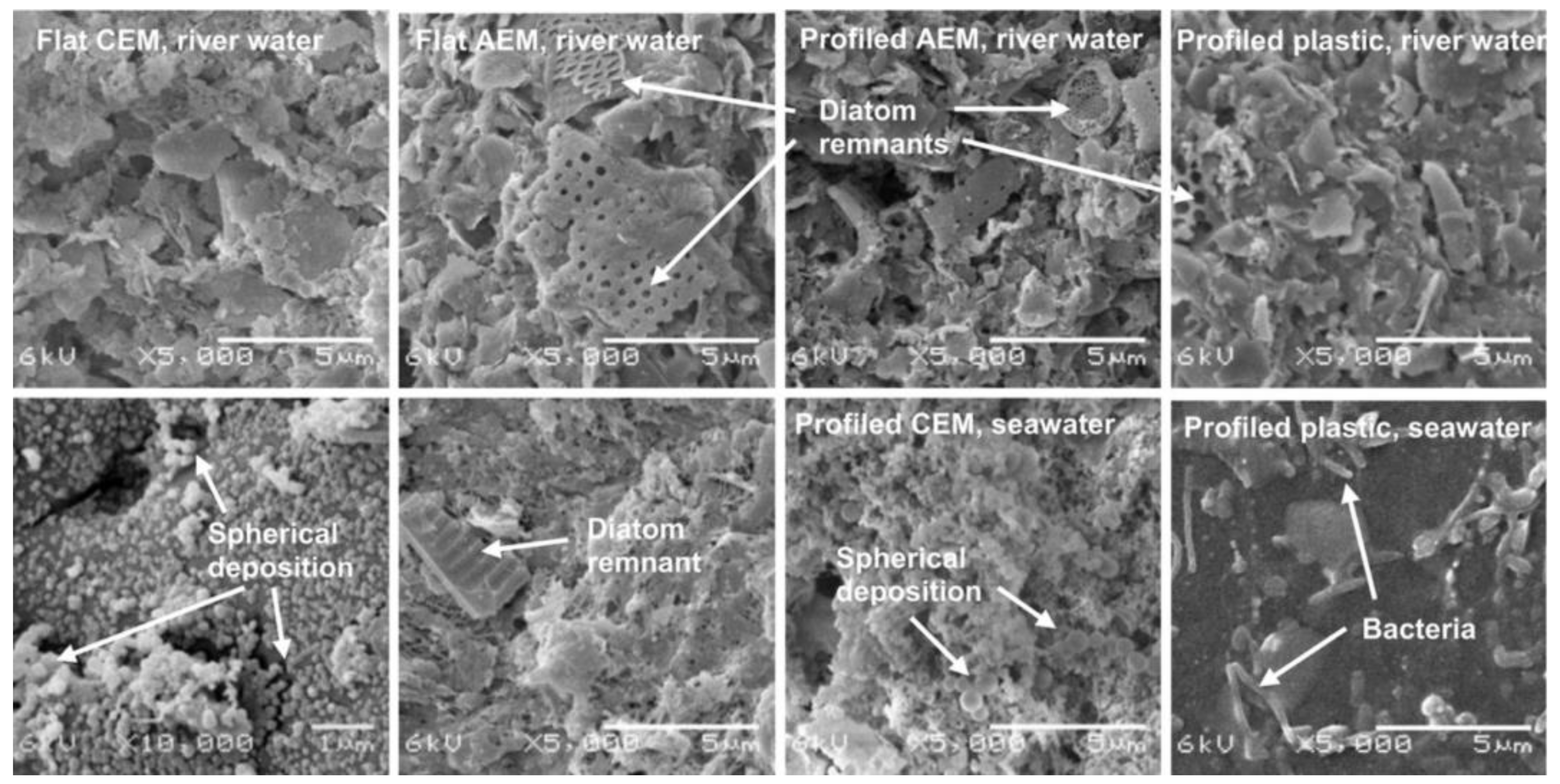 Membranes 13 00052 g011 Membranes 13 00052 g011