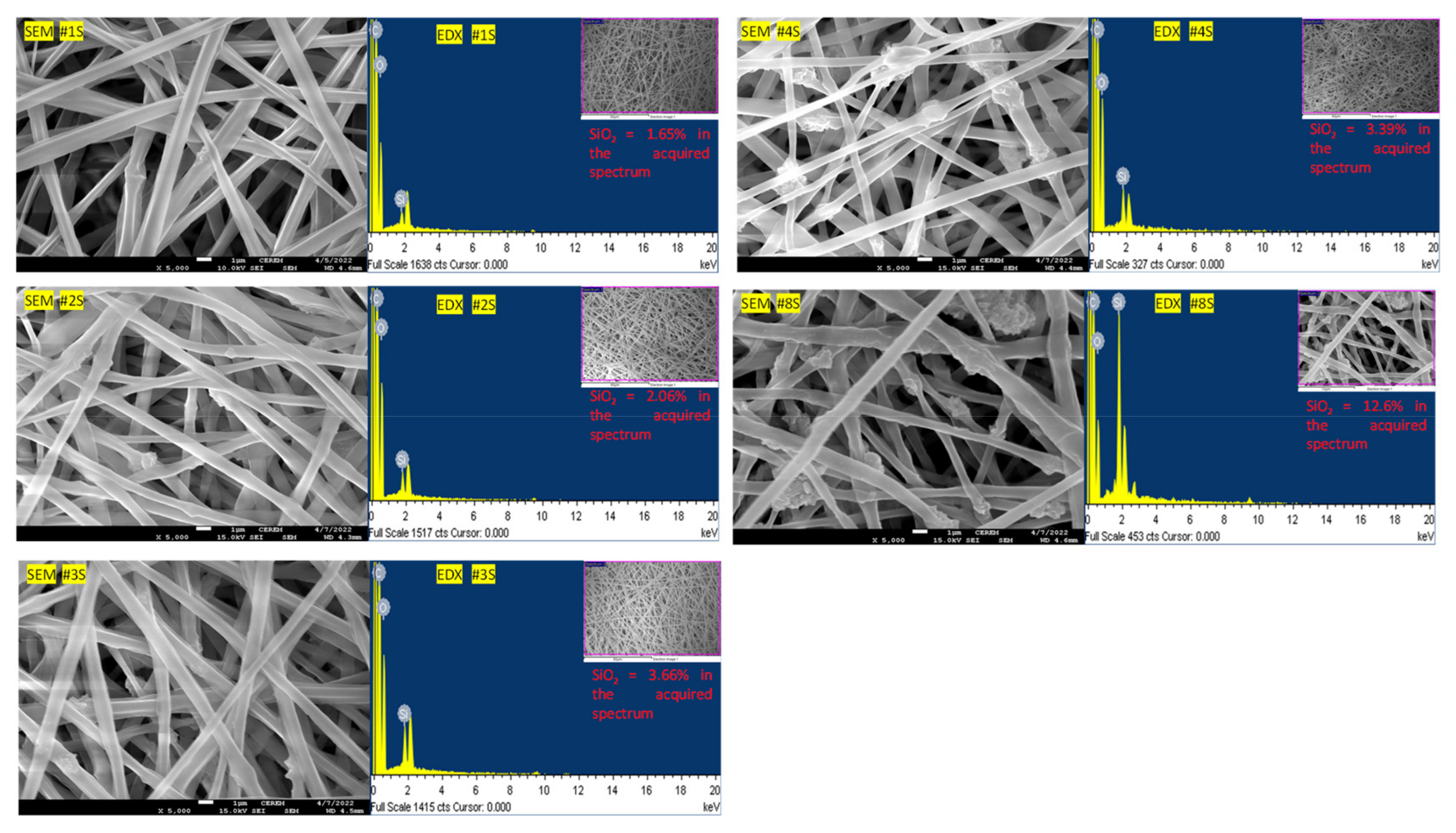 Membranes 13 00054 g002