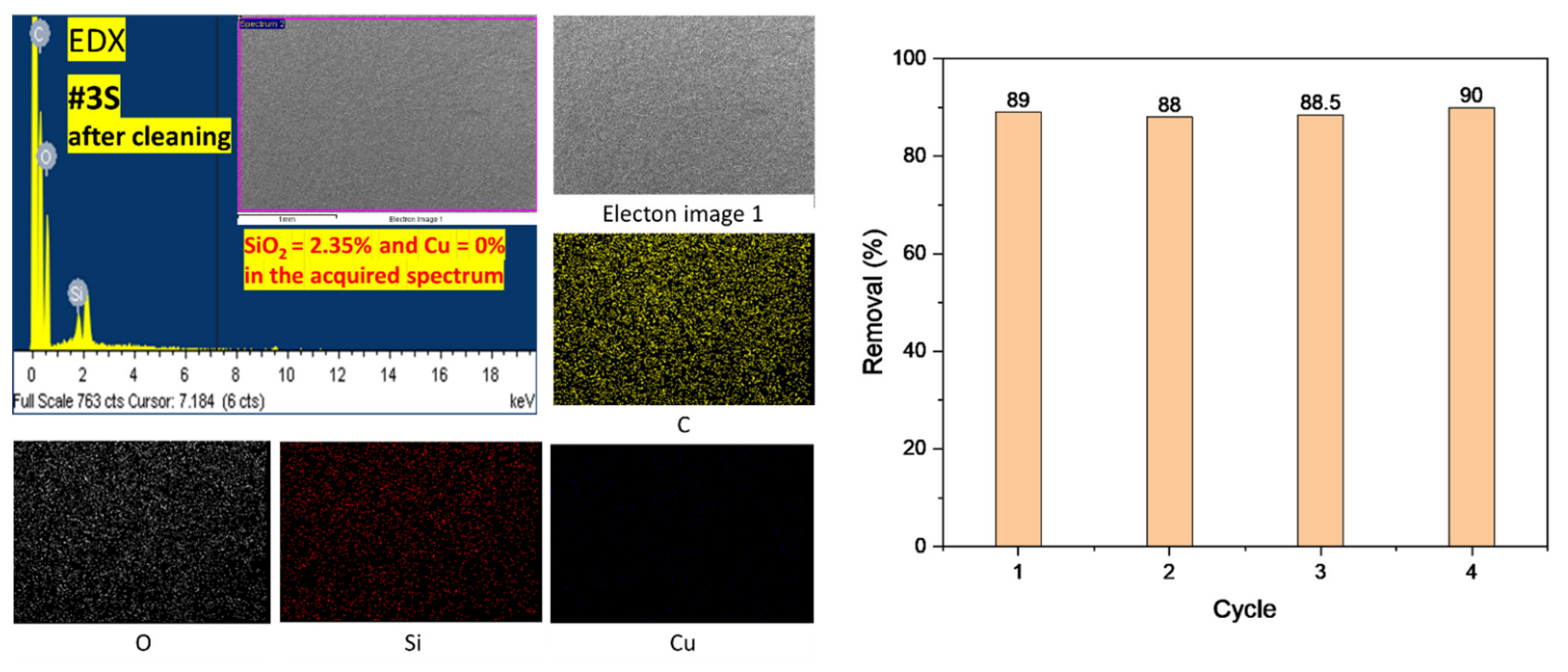 Membranes 13 00054 g010