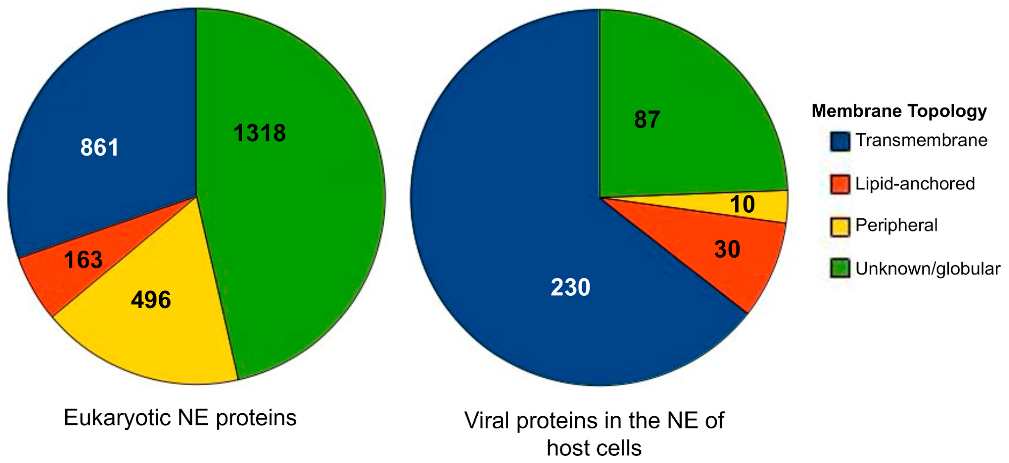Membranes 13 00062 g001 Membranes 13 00062 g001