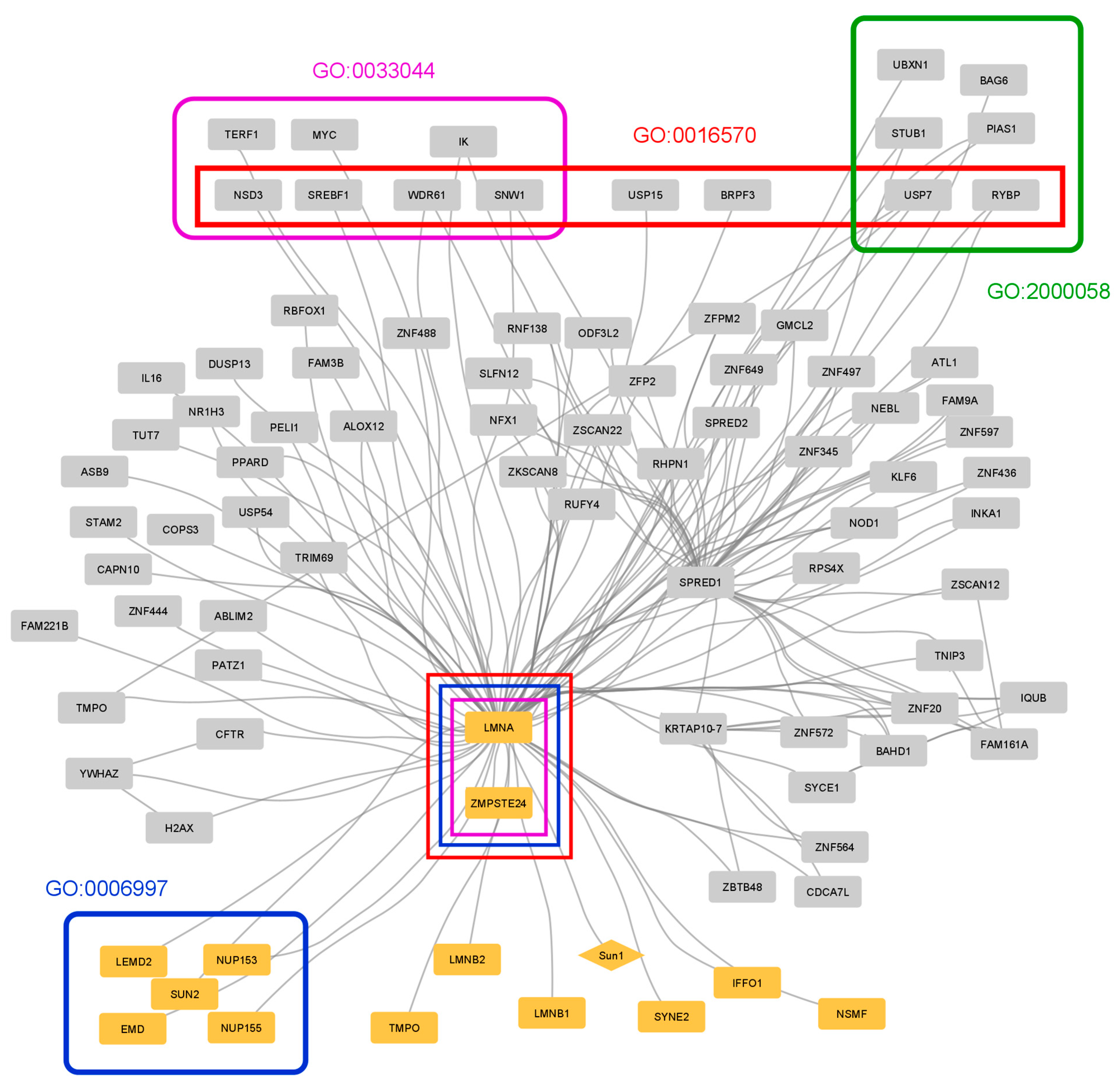 Membranes 13 00062 g004 Membranes 13 00062 g004