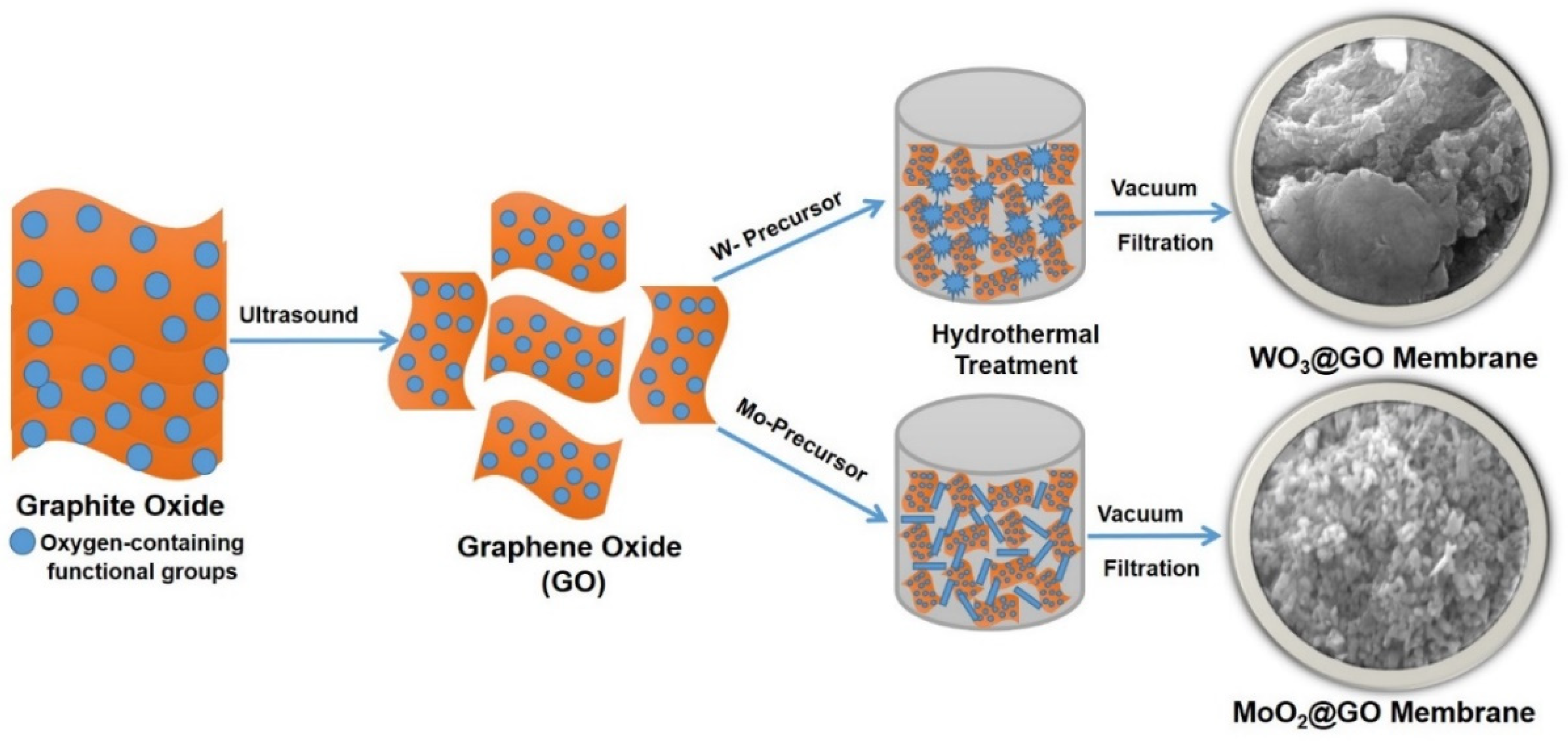 Membranes 13 00064 sch001 Membranes 13 00064 sch001